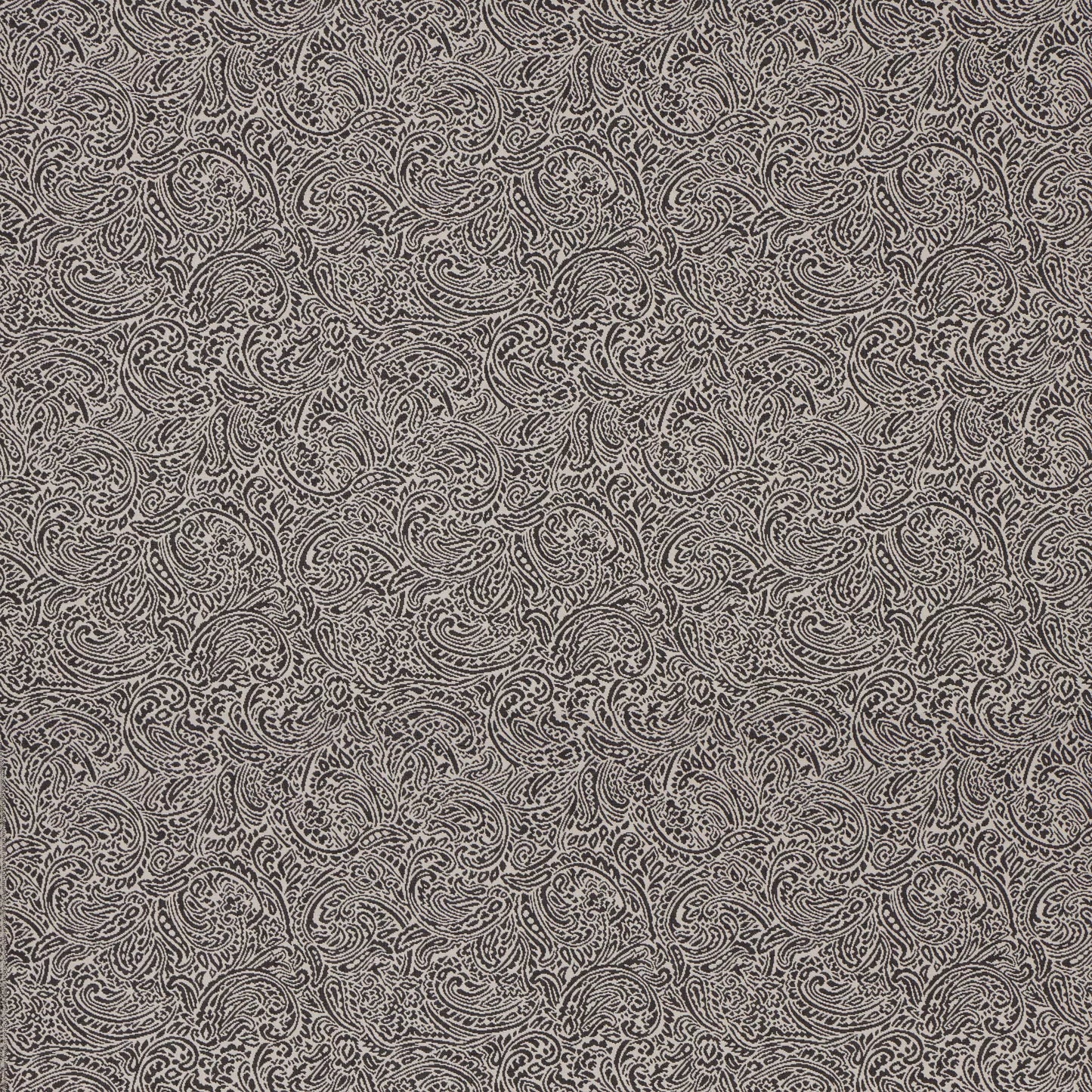 Osiris Charcoal by Warwick Fabrics