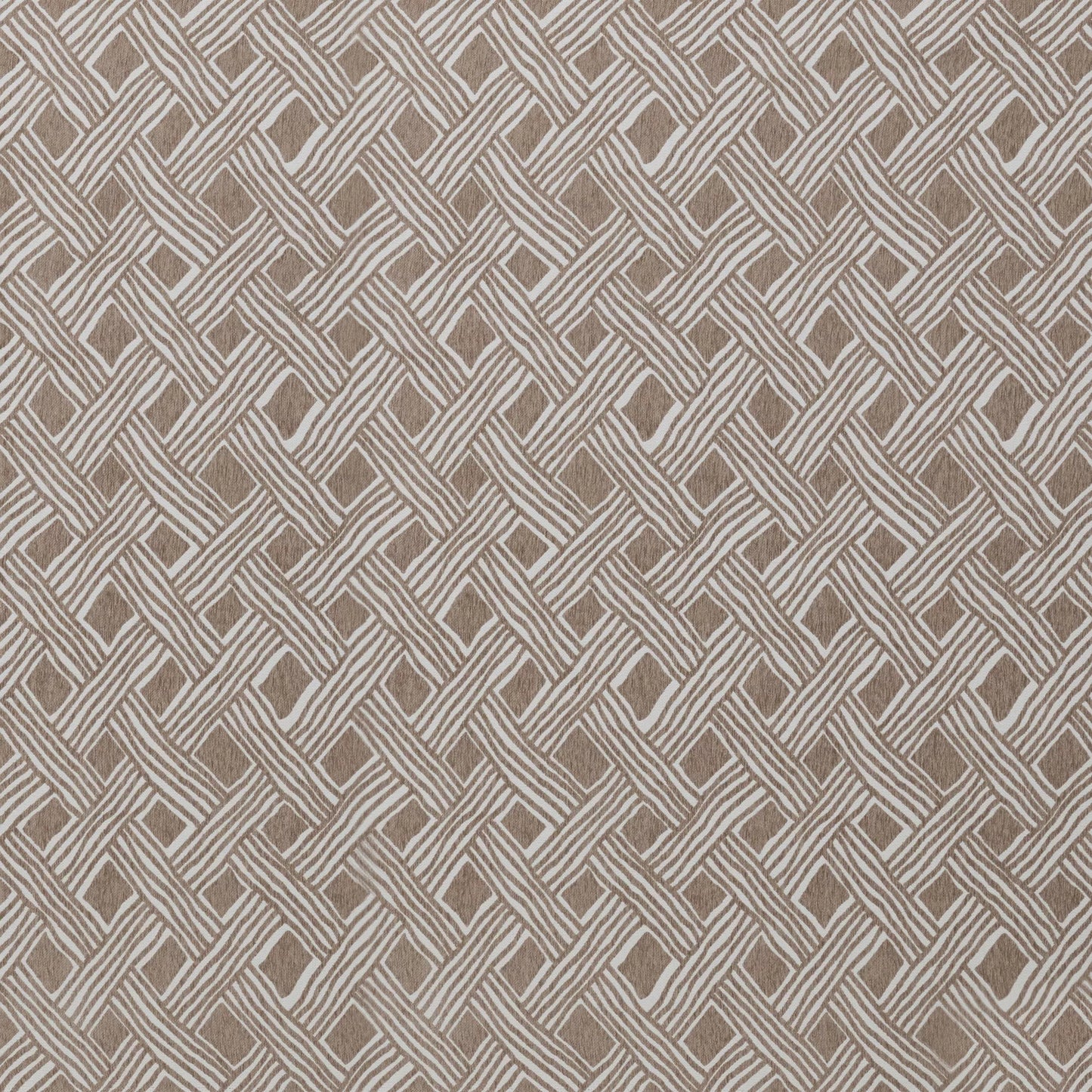 Palacio by Warwick Fabrics