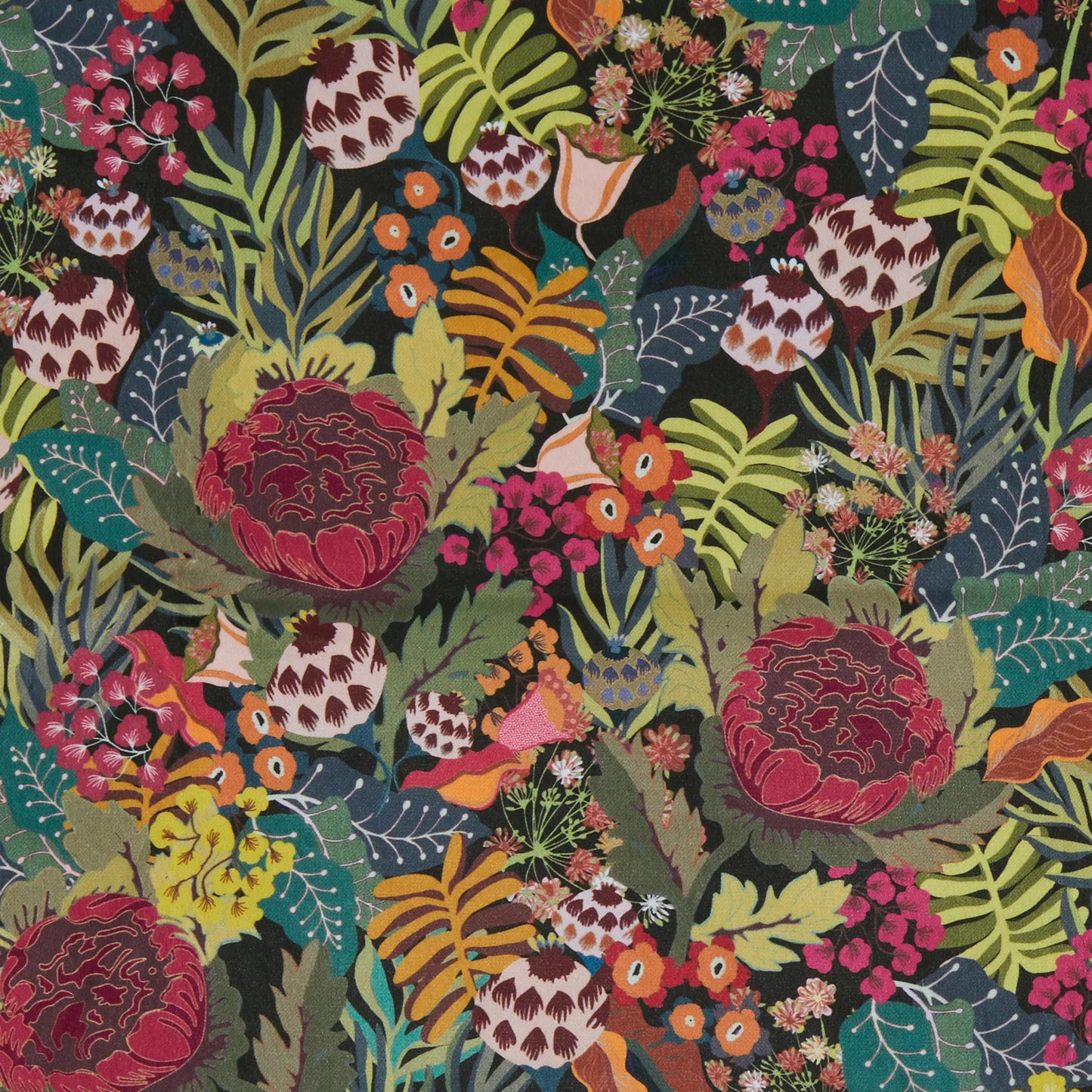 Picton by Warwick Fabrics