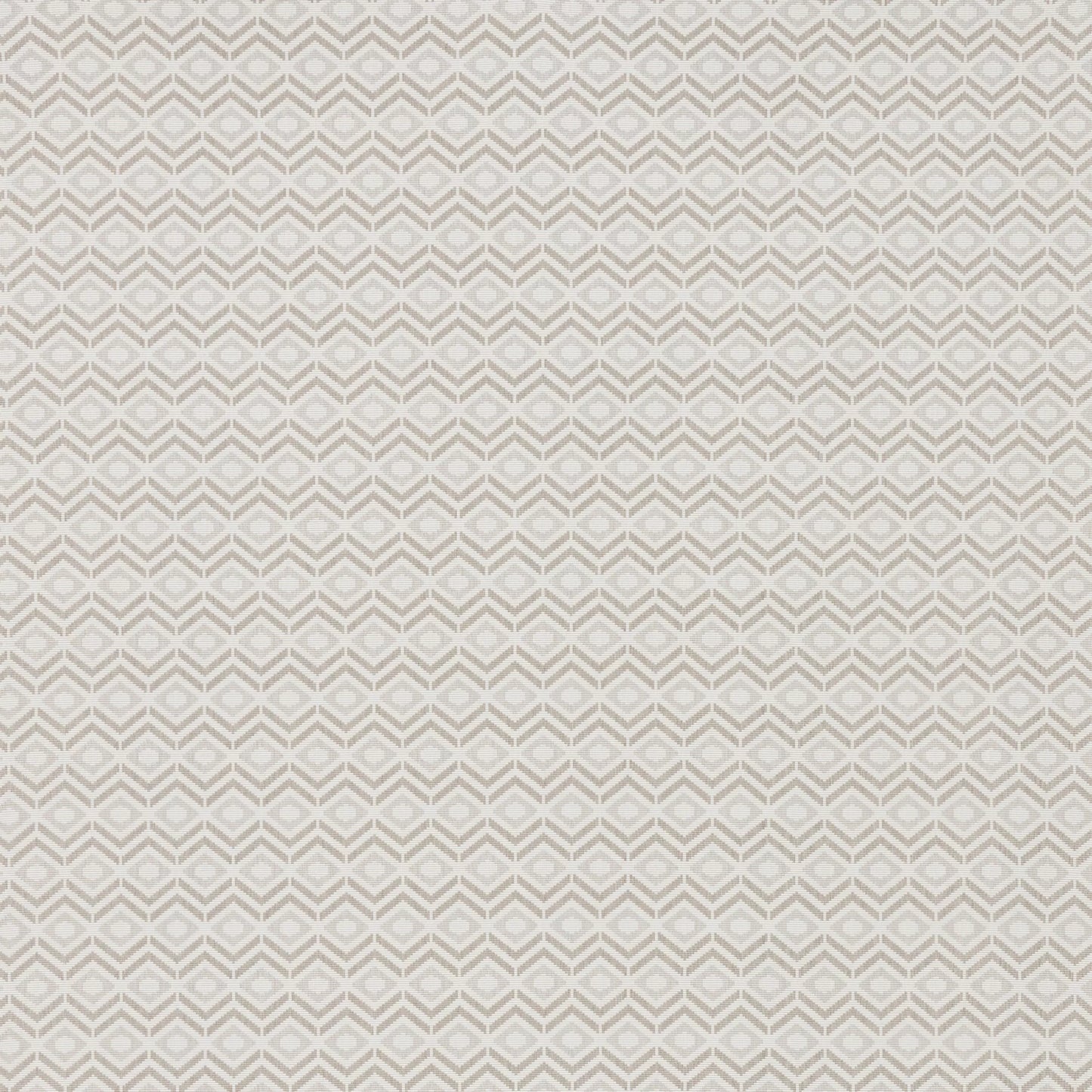 Pedro Birch by Warwick Fabrics