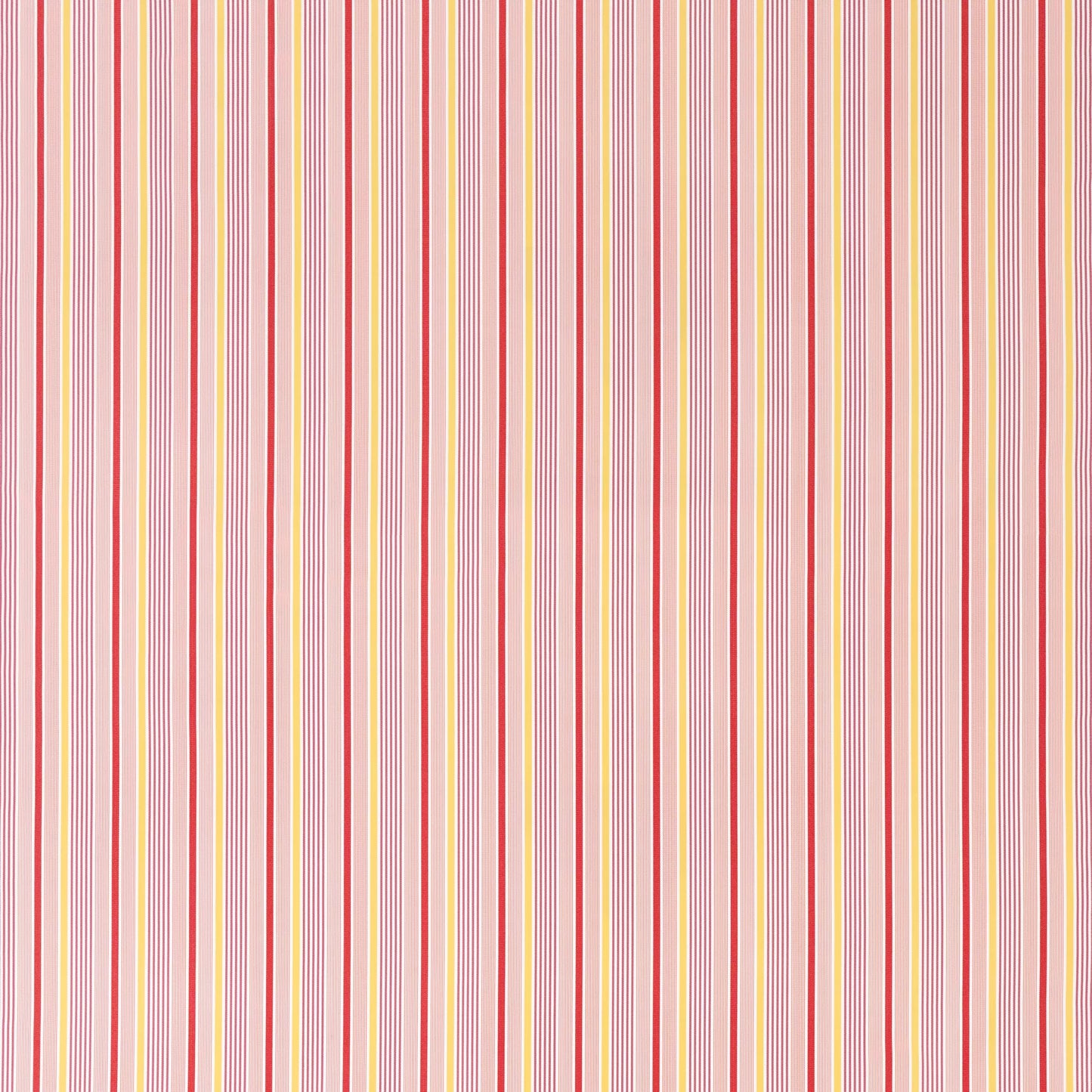 Portsea Hibiscus by Warwick Fabrics