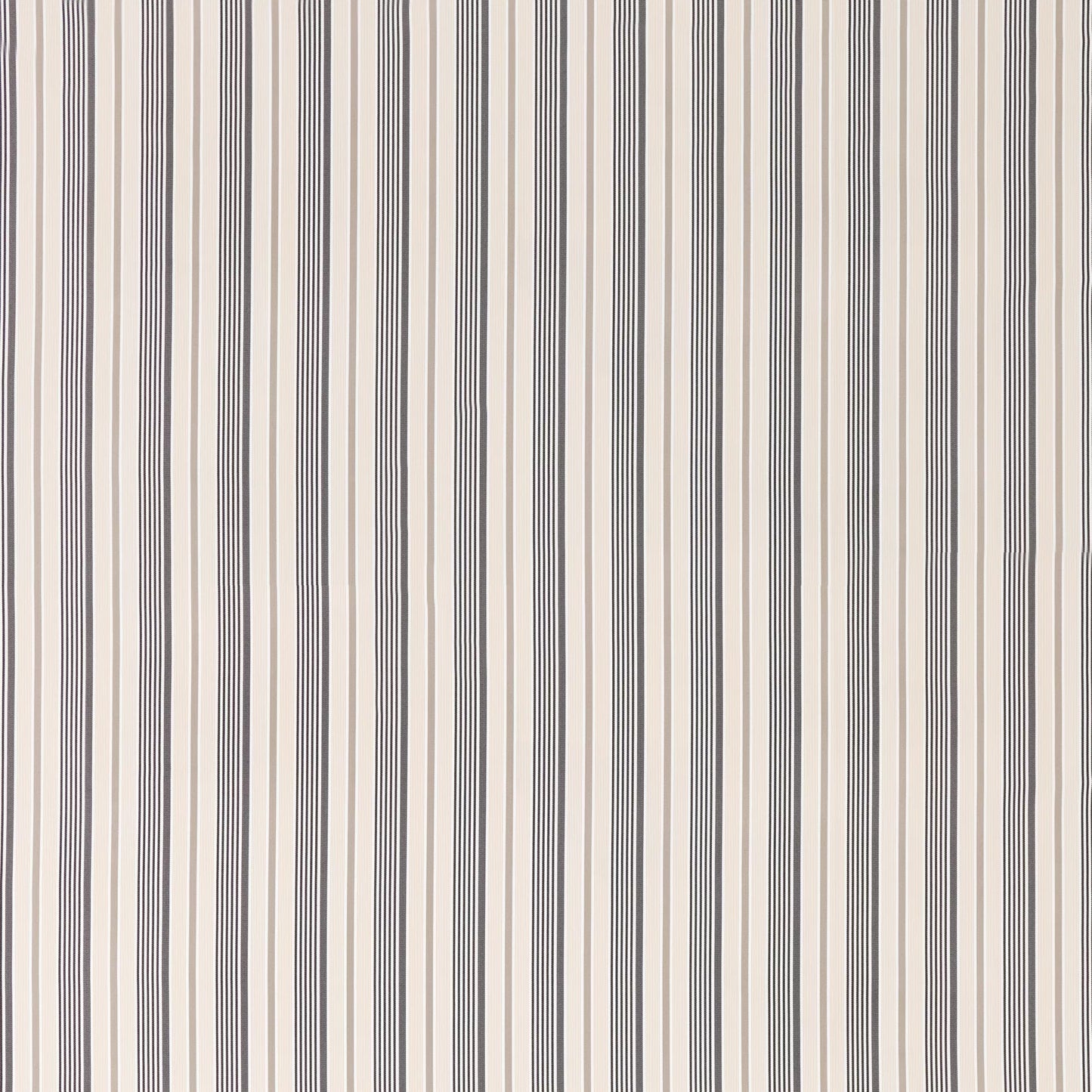 Portsea Oyster by Warwick Fabrics