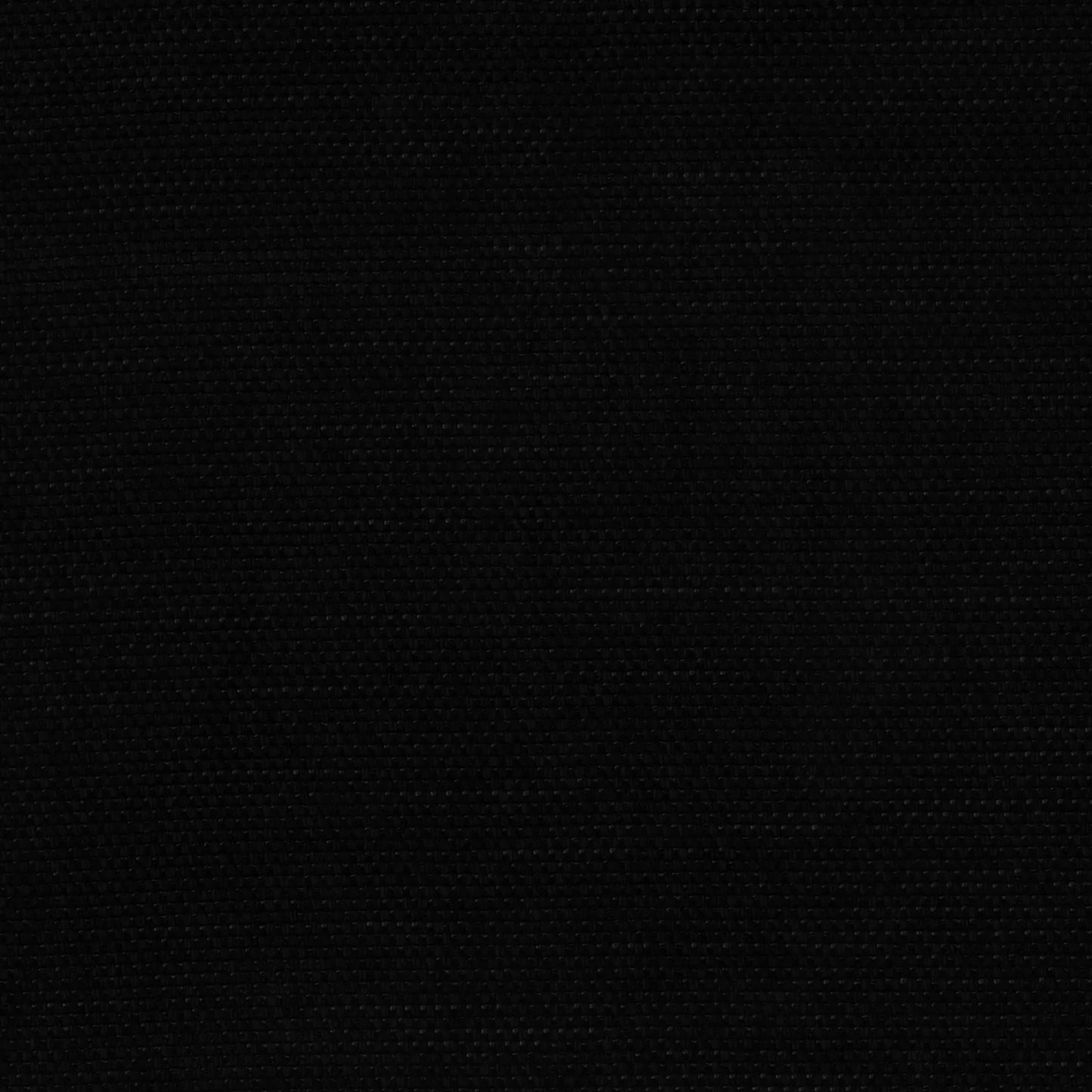 Pushka Black by Warwick Fabrics
