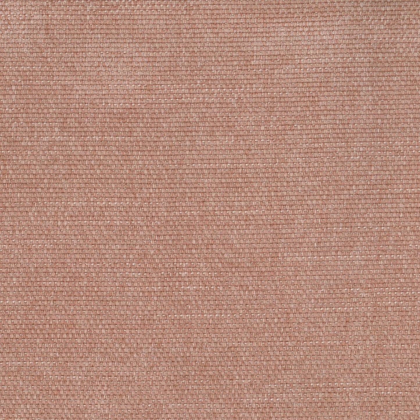Pushka Blush by Warwick Fabrics