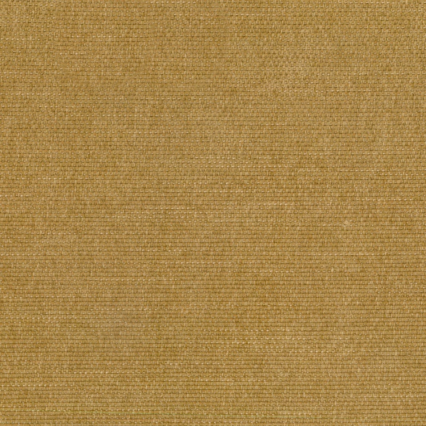 Pushka Caramel by Warwick Fabrics