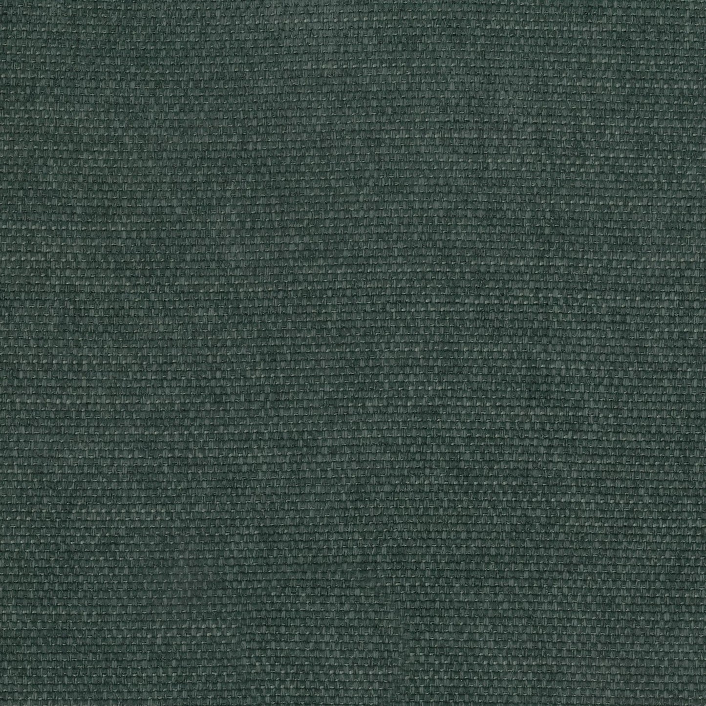 Pushka Forest by Warwick Fabrics