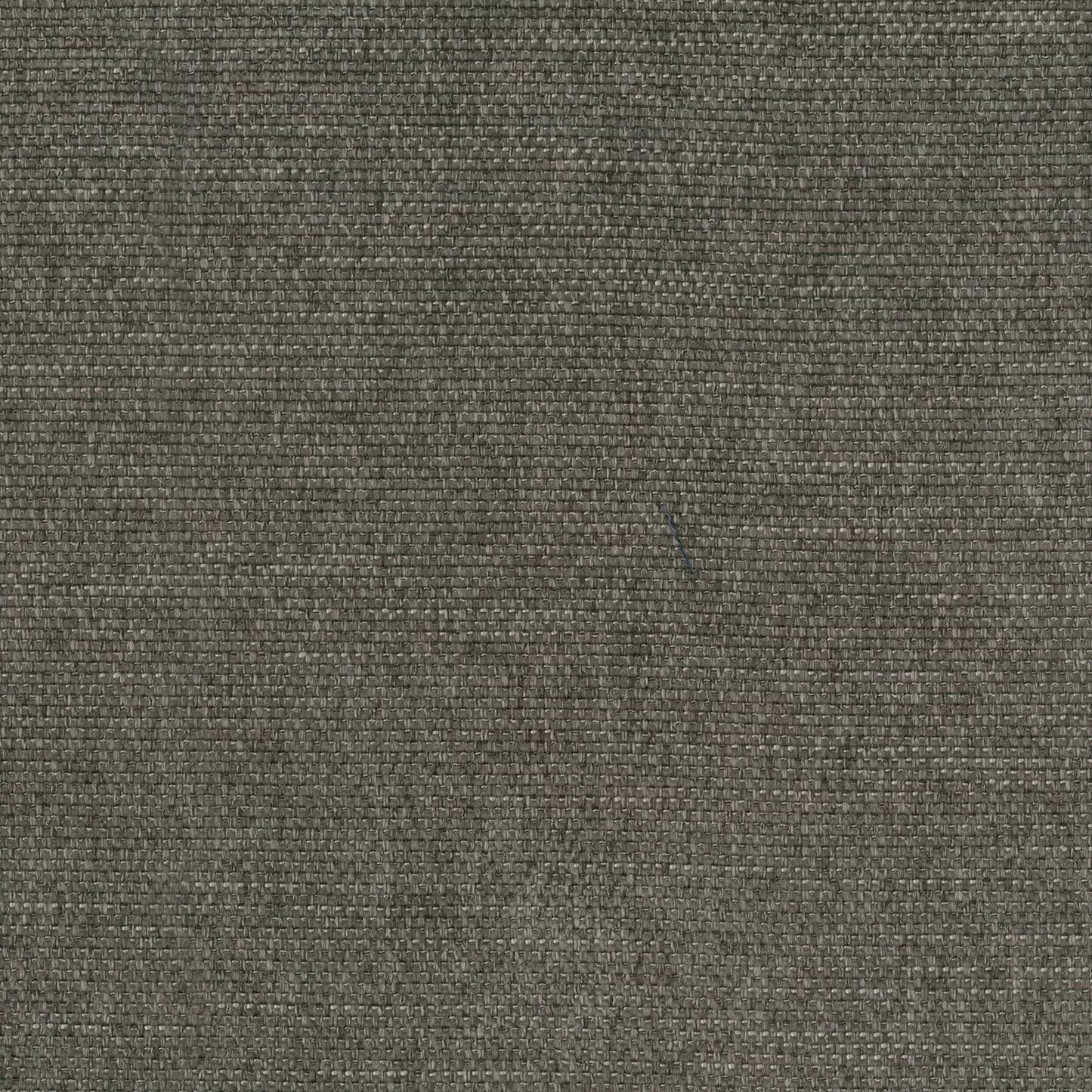 Pushka Fossil by Warwick Fabrics
