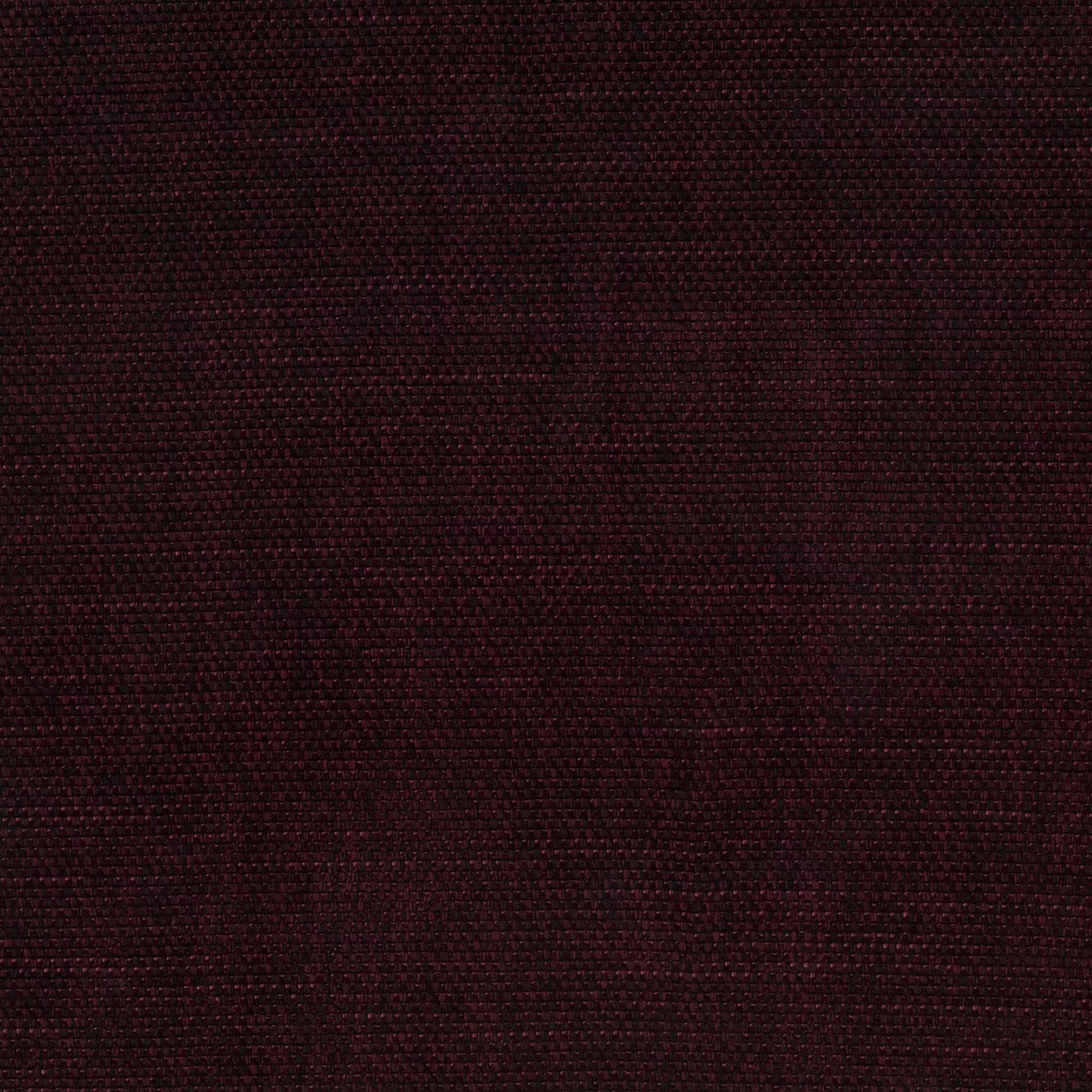 Pushka Orchid by Warwick Fabrics