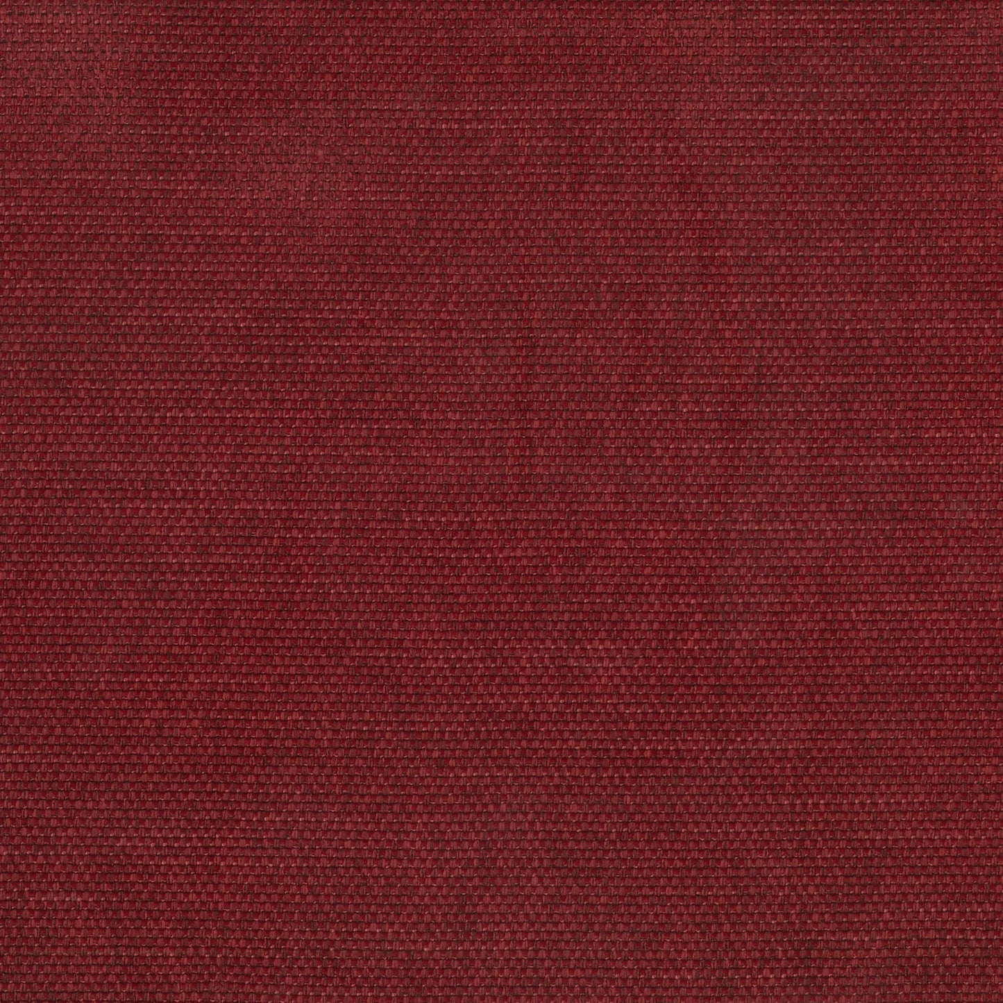 Pushka Scarlet by Warwick Fabrics