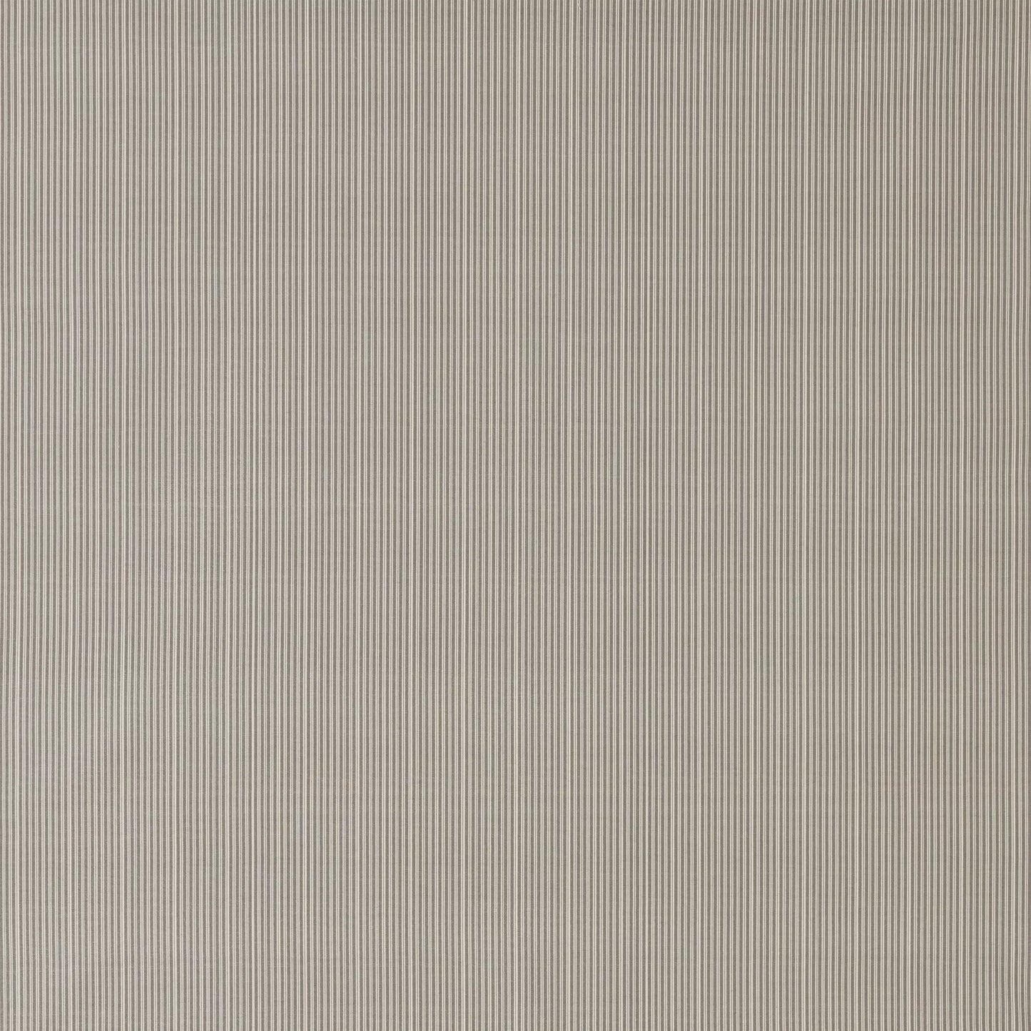 Raya Honey by Warwick Fabrics