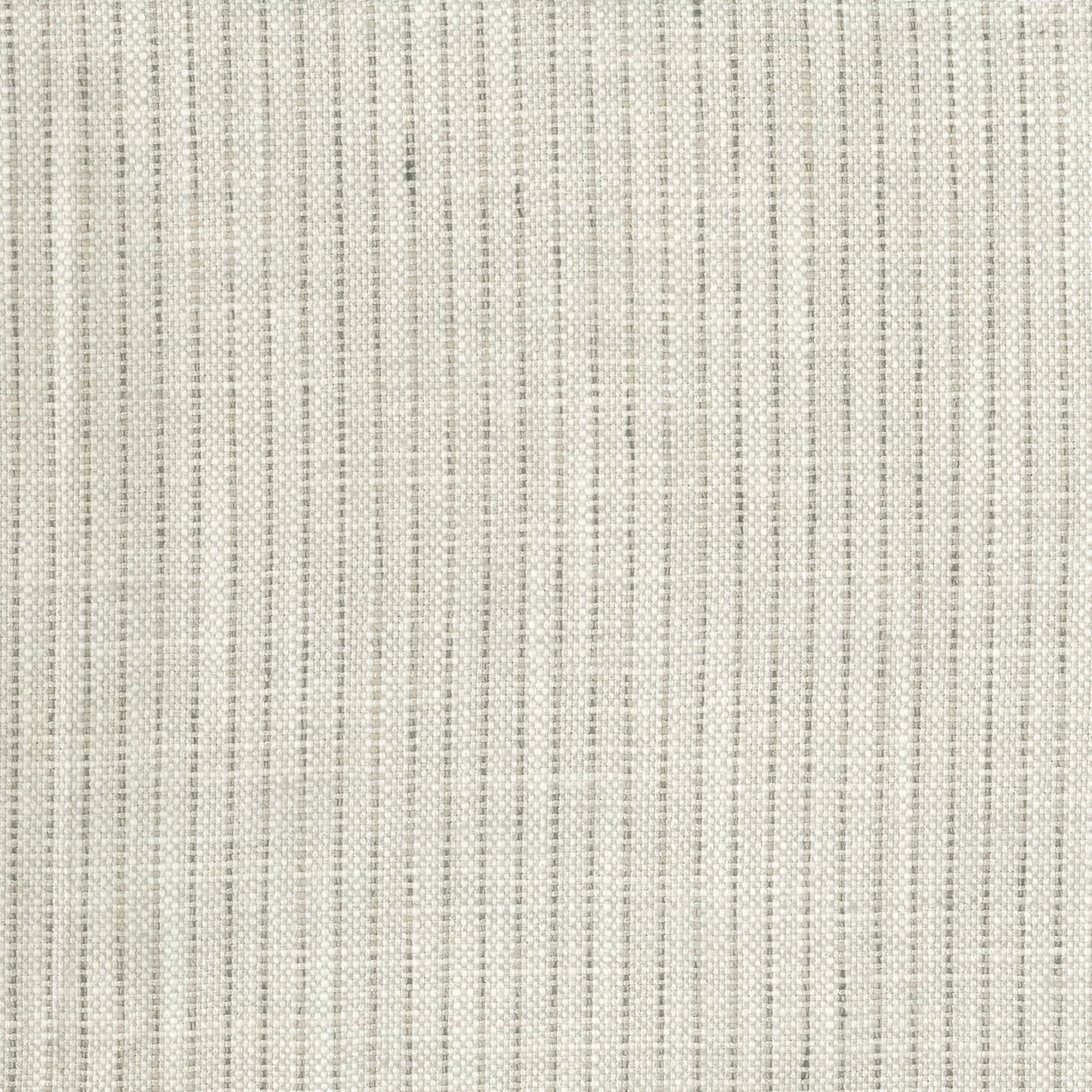 Rathlin Dove by Warwick Fabrics