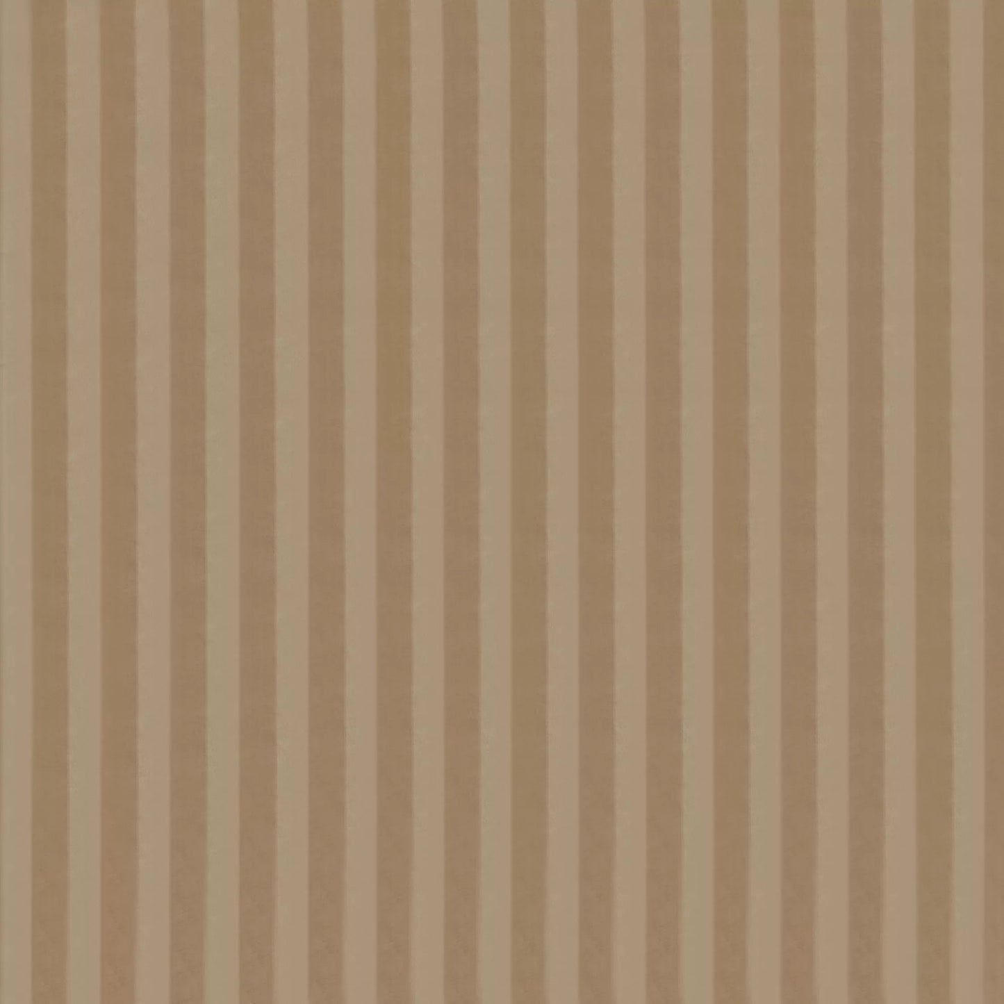 Riviera Mocha By Warwick Fabrics
