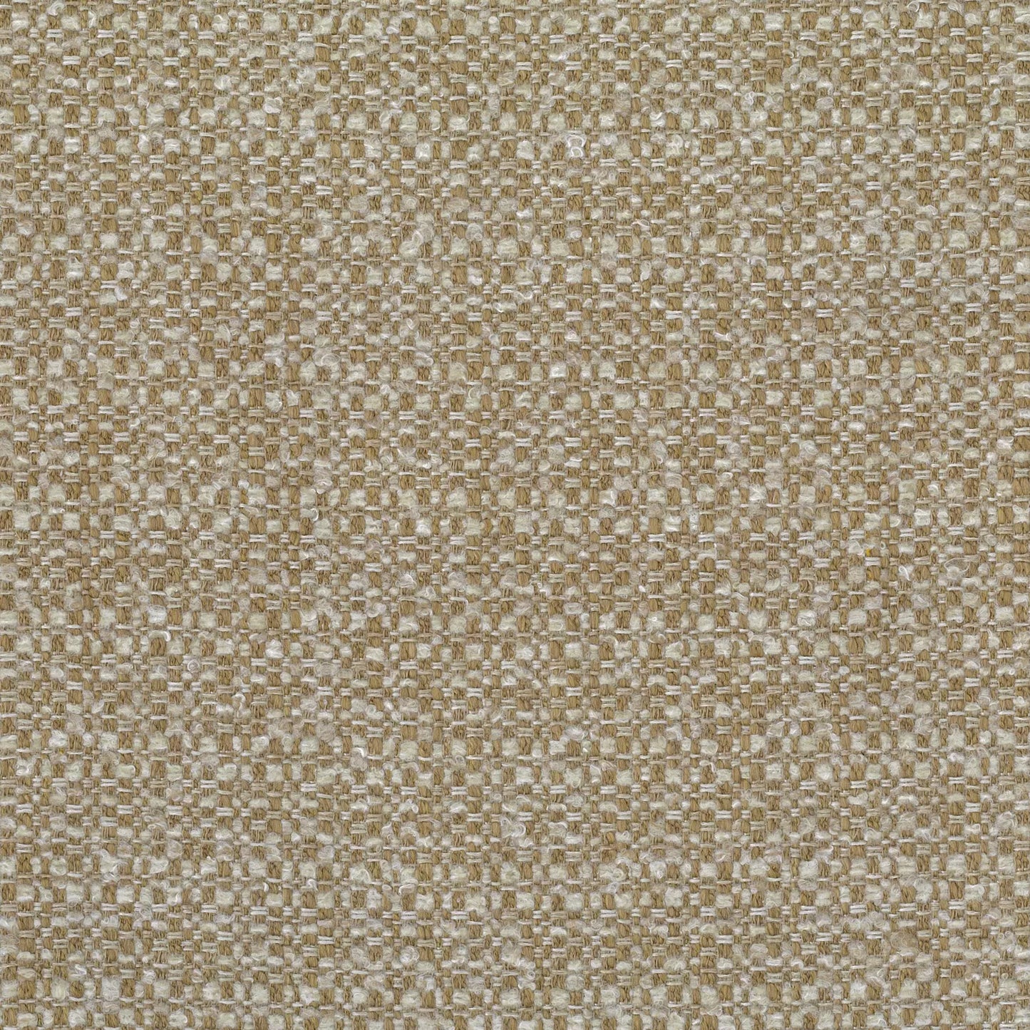 Salina by Warwick Fabrics