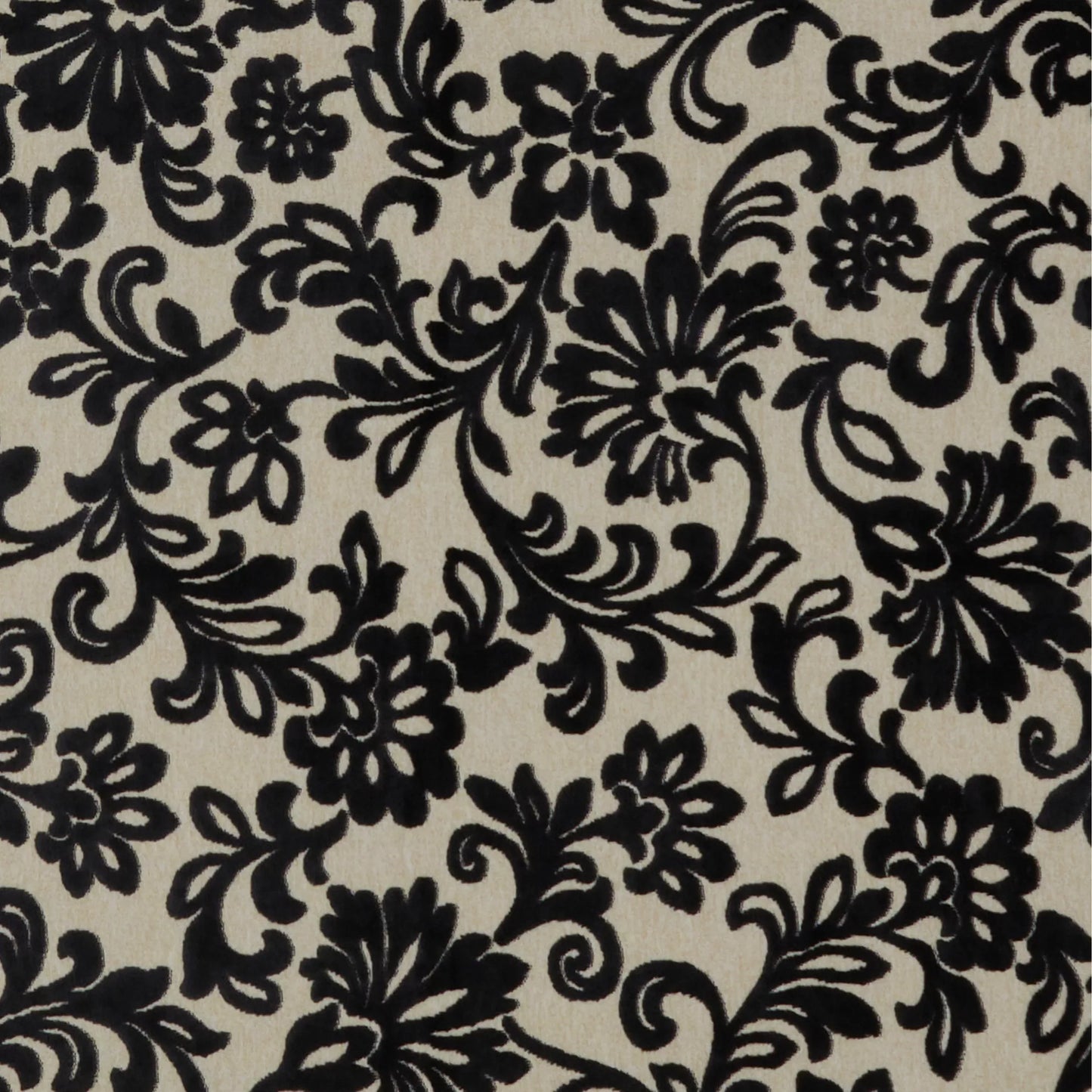 Vivaldi Onyx by Warwick Fabrics