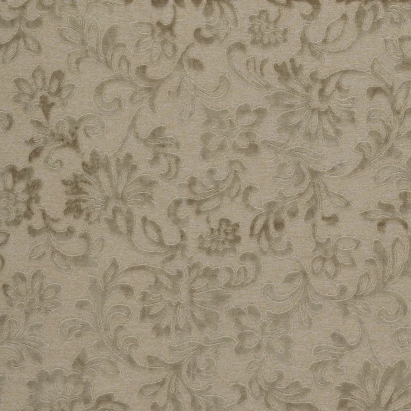 Vivaldi Onyx by Warwick Fabrics