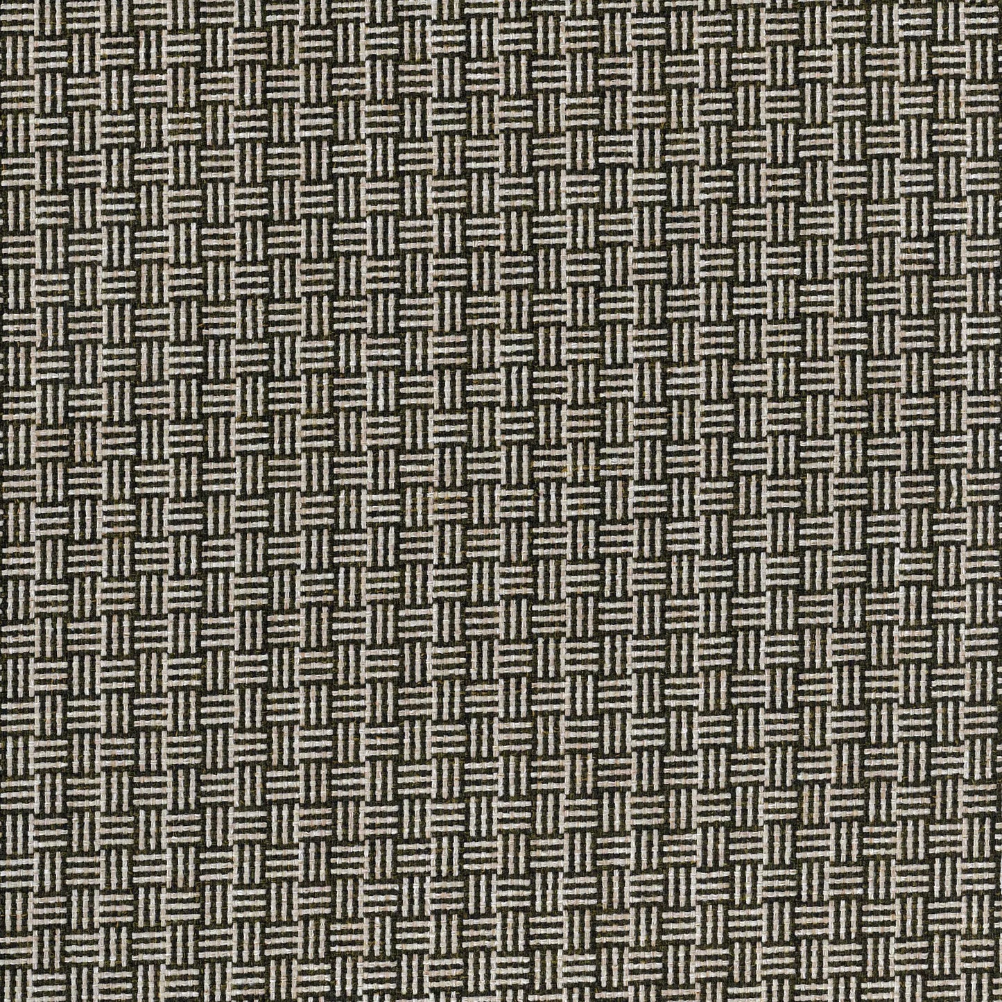 Williamsburg Biscuit by Warwick Fabrics