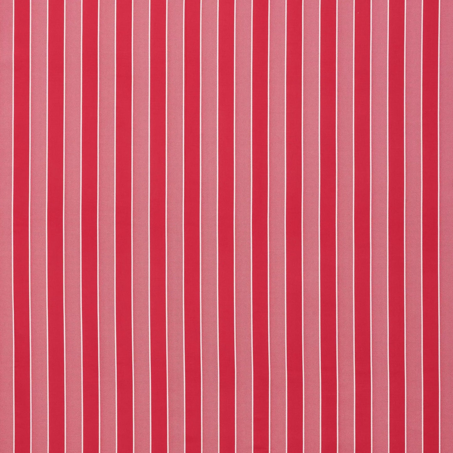 Willa Hibiscus by Warwick Fabrics