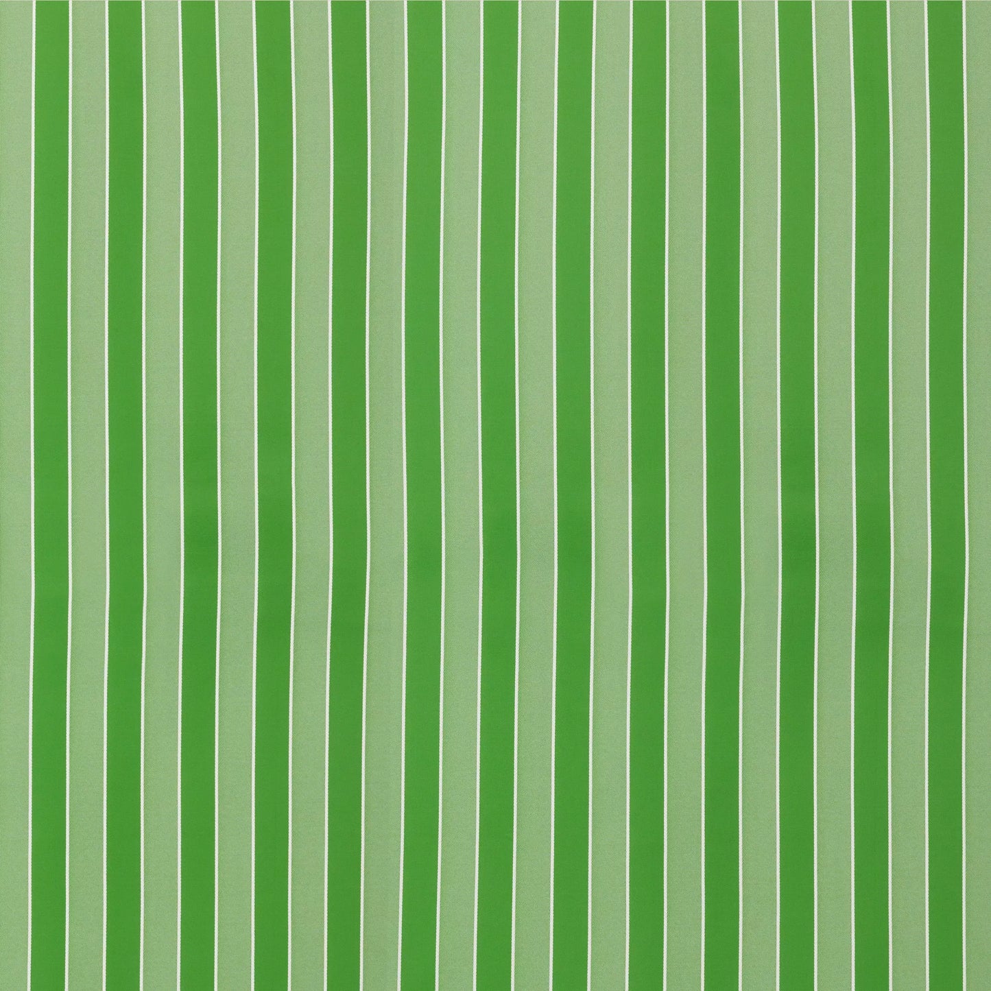 Willa Monstera by Warwick Fabrics