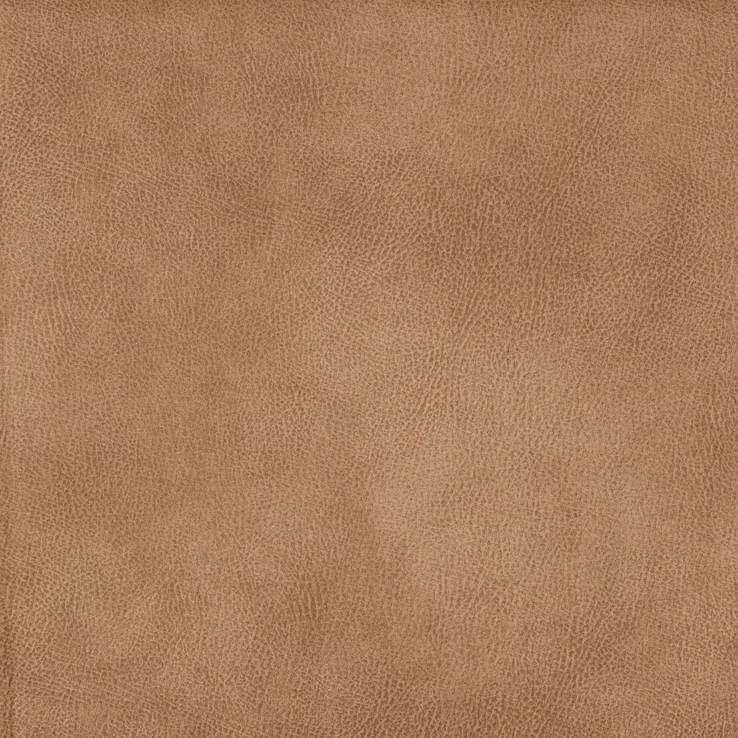 Eastwood by Warwick Fabrics