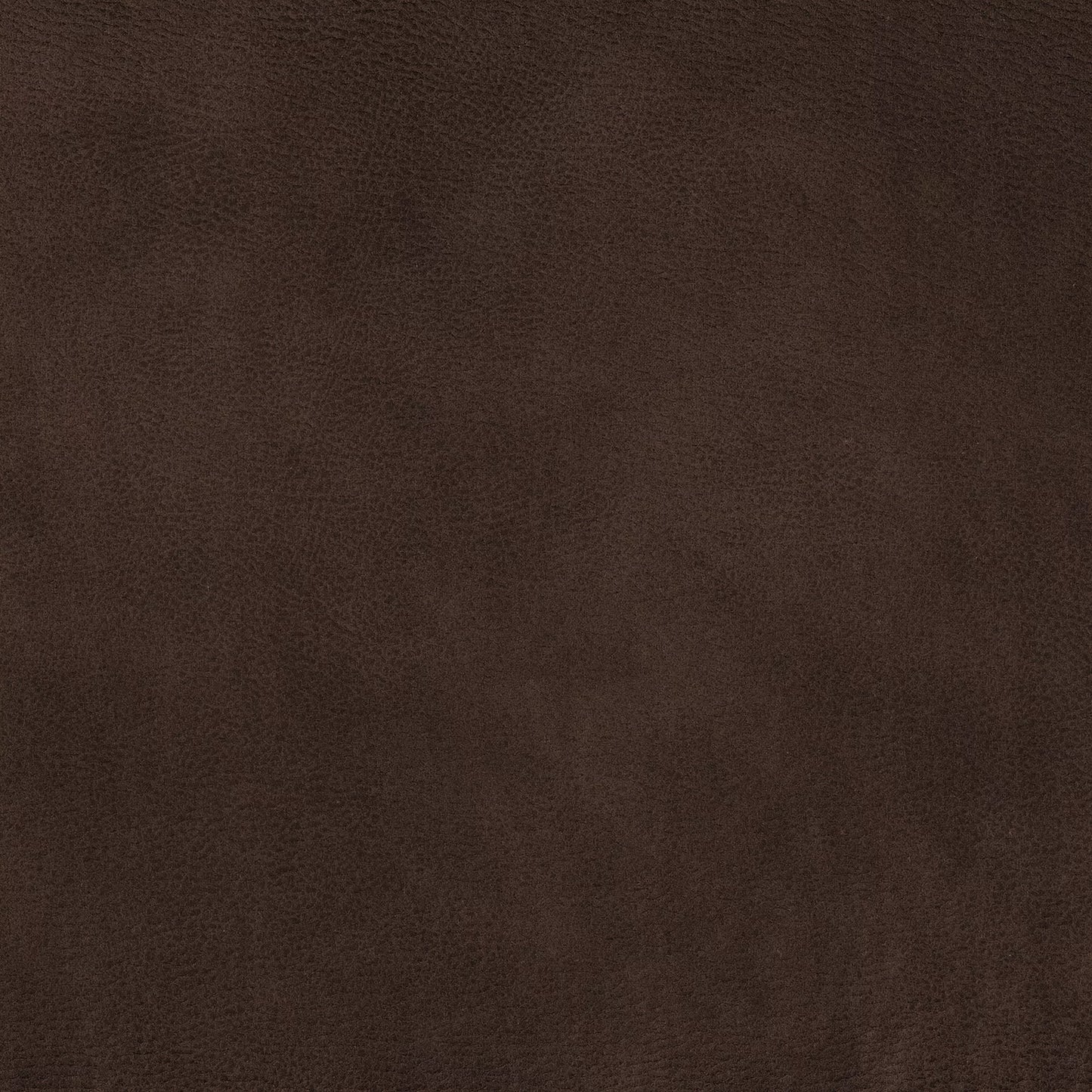 Eastwood by Warwick Fabrics