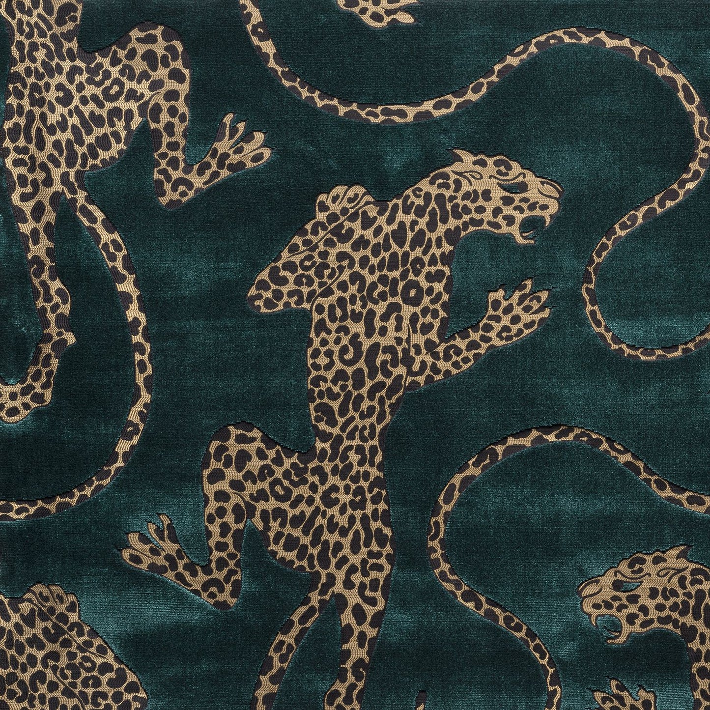 Mokum Panthera Aquamarine by Catherine Martin
