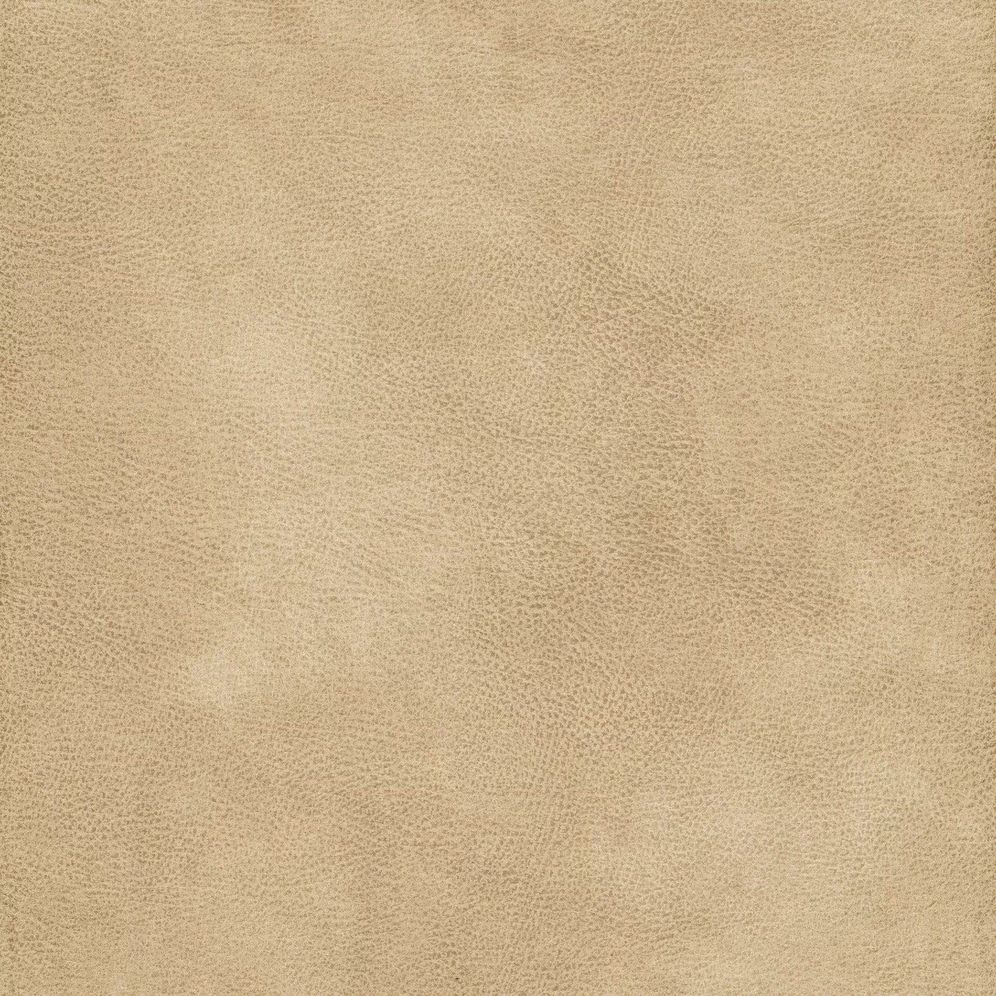 Eastwood by Warwick Fabrics