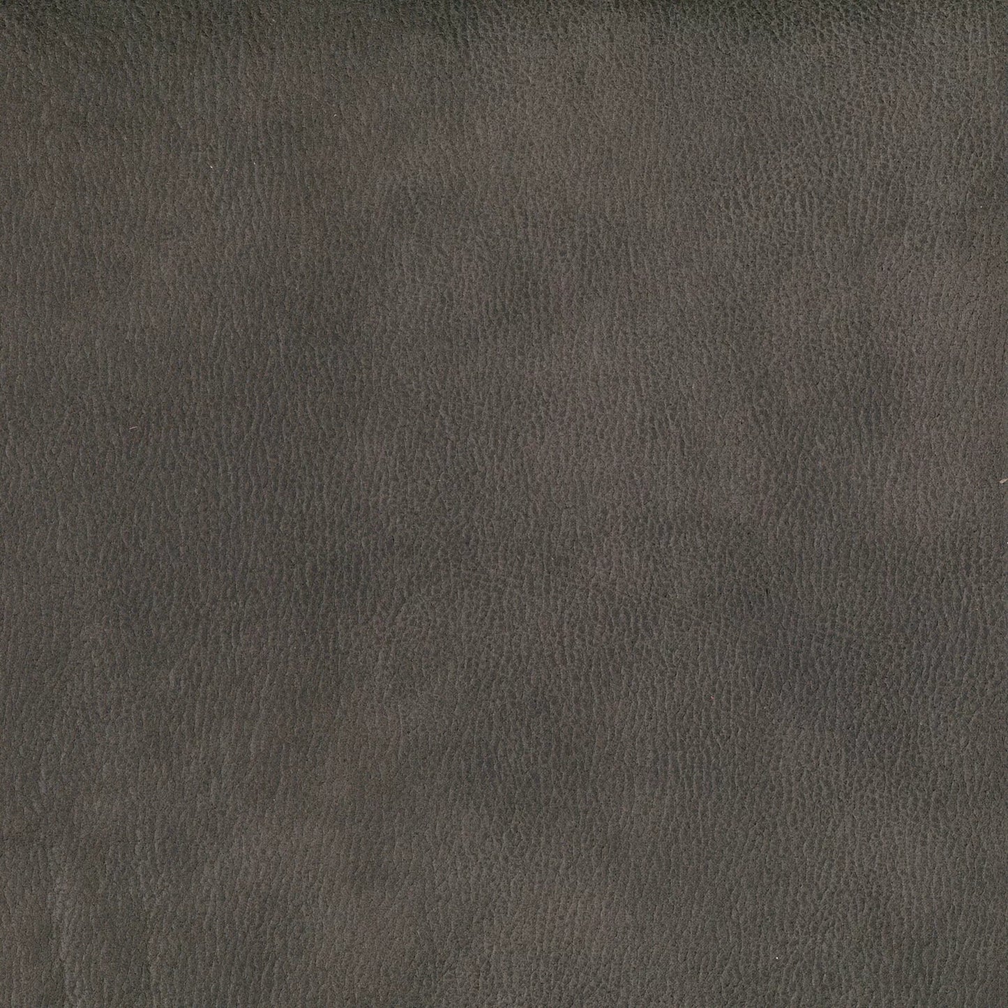 Eastwood by Warwick Fabrics
