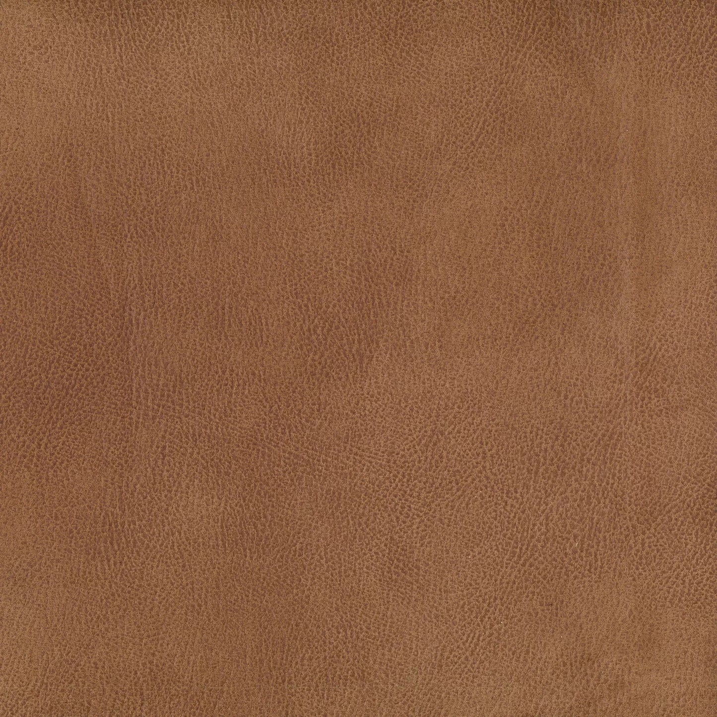 Eastwood by Warwick Fabrics