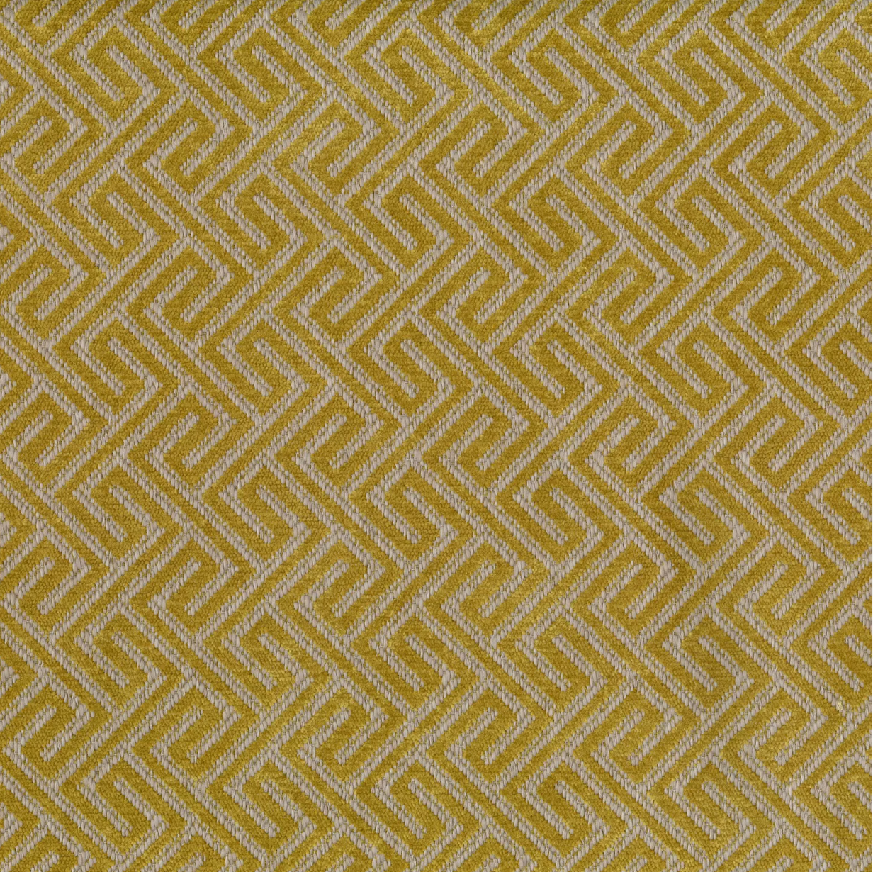 Acapulco Sunshine by Warwick Fabrics