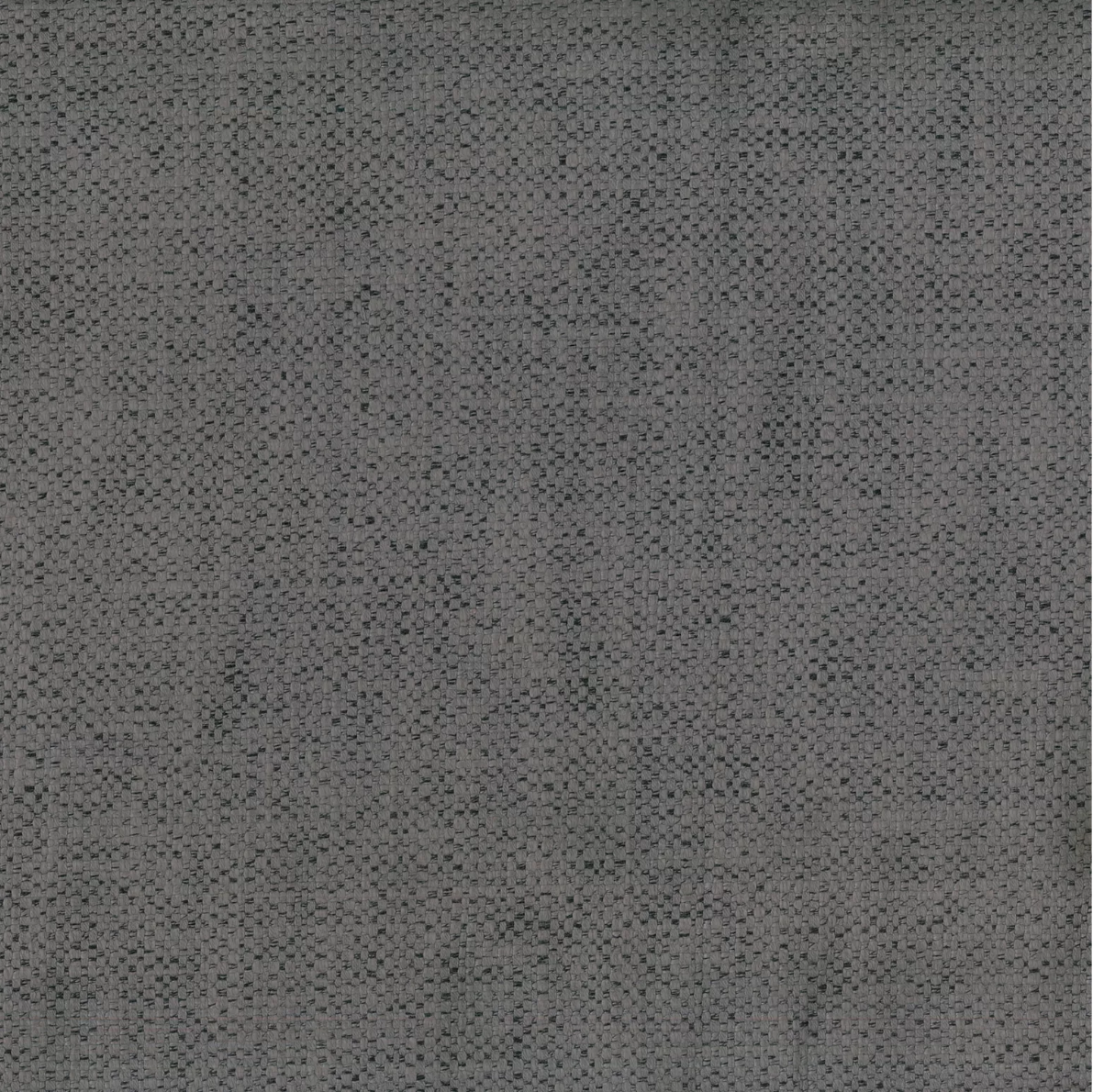 Orion Chai by Warwick Fabrics