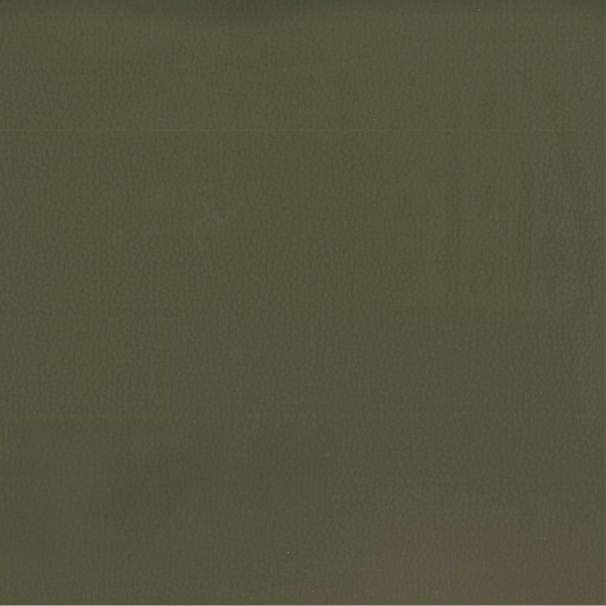 Lustrell Ranger by Warwick Fabrics