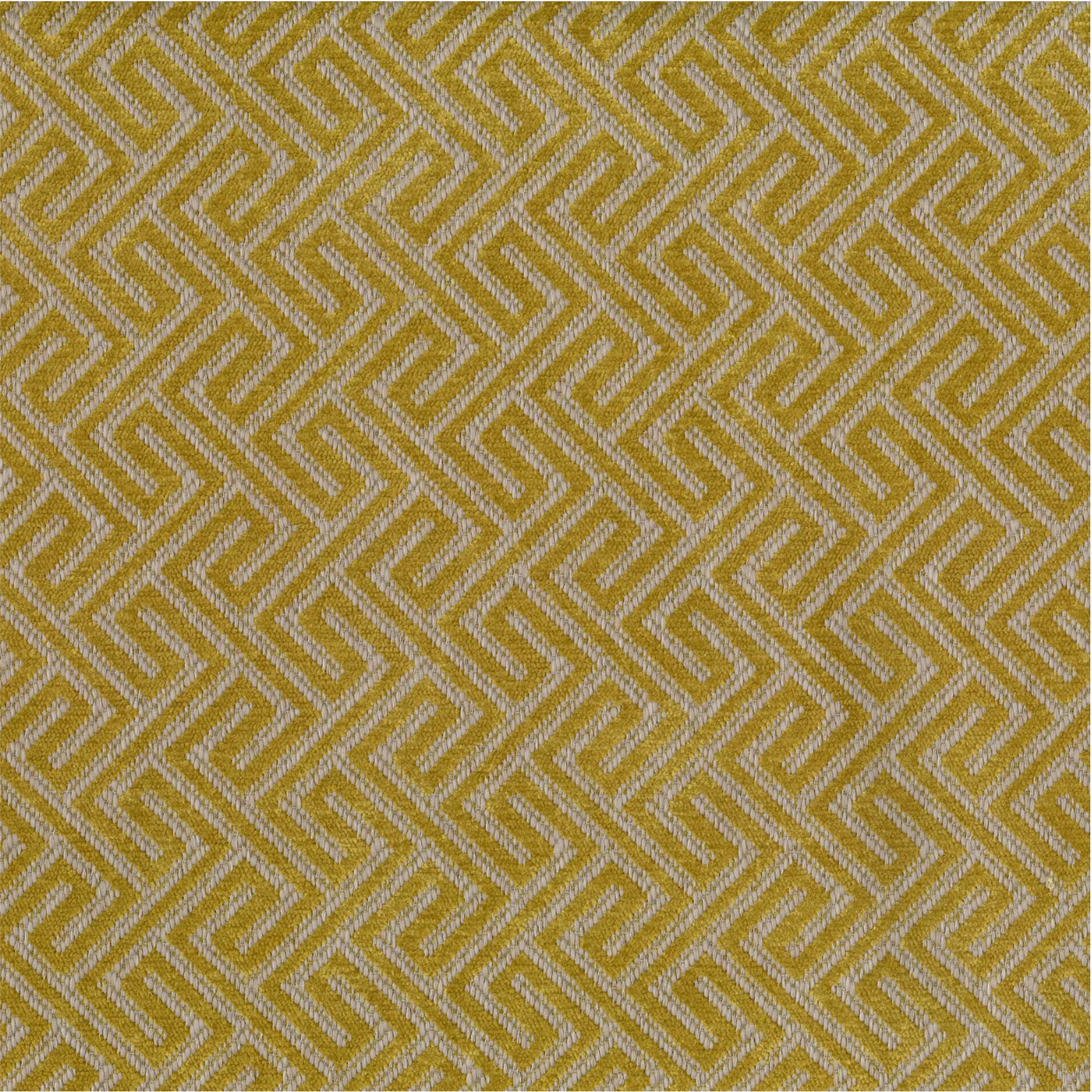 Akasha Tritan by Warwick Fabrics