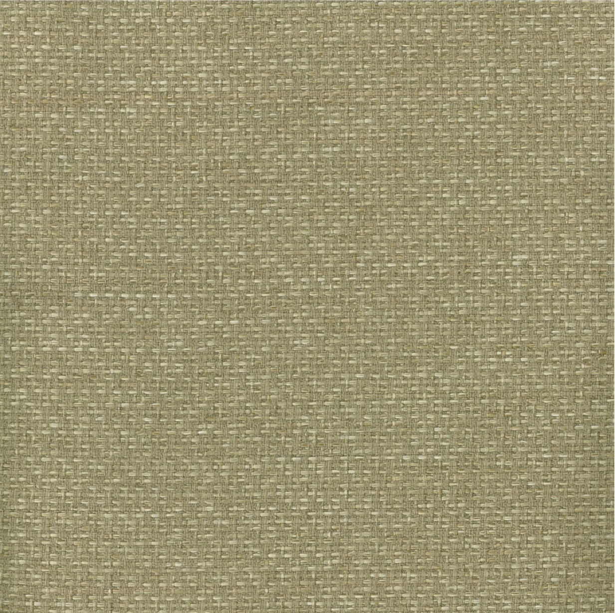 Macedon Birch by Warwick Fabrics