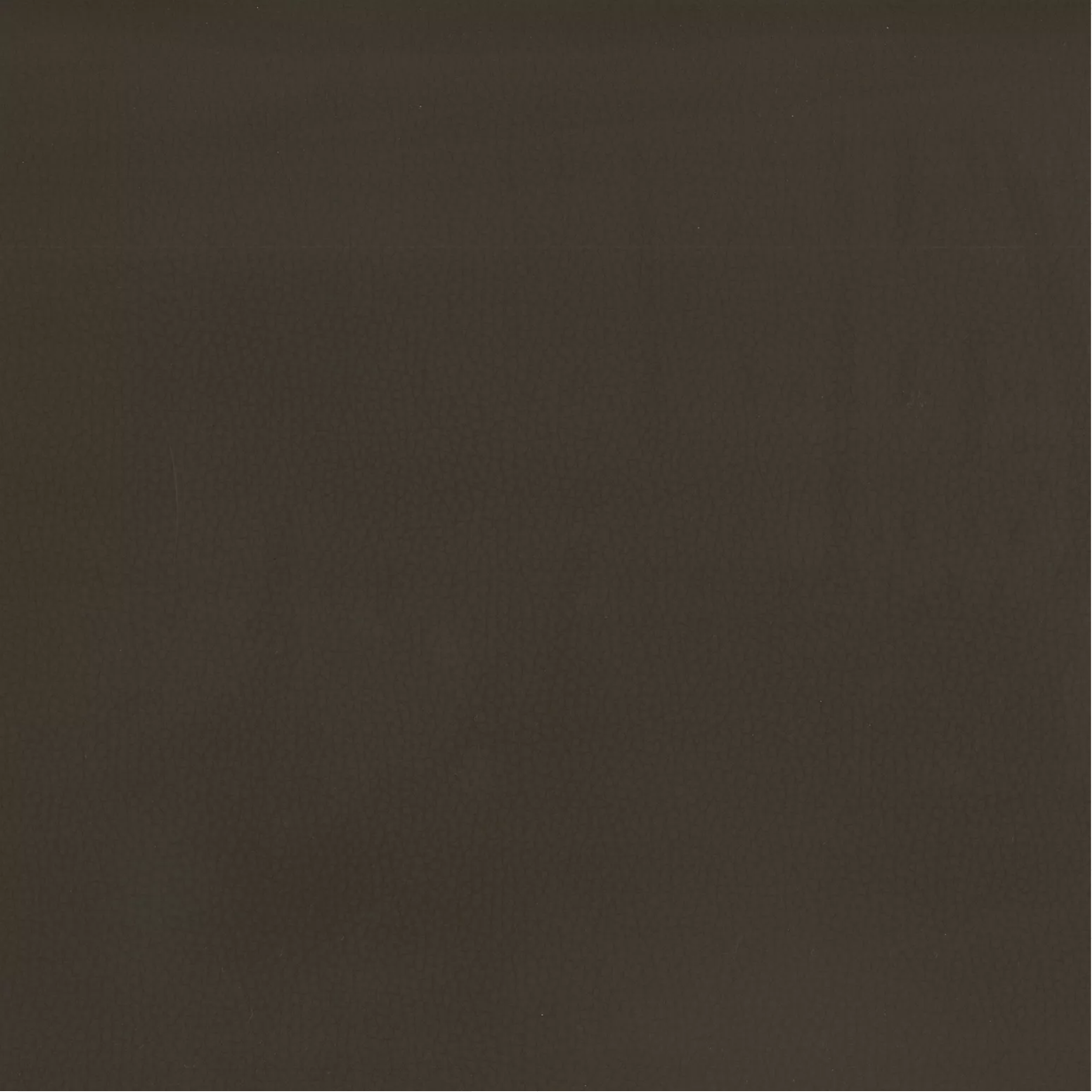 Lustrell Ranger by Warwick Fabrics