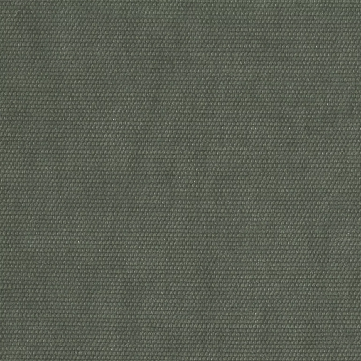 Tesoro by Warwick Fabrics