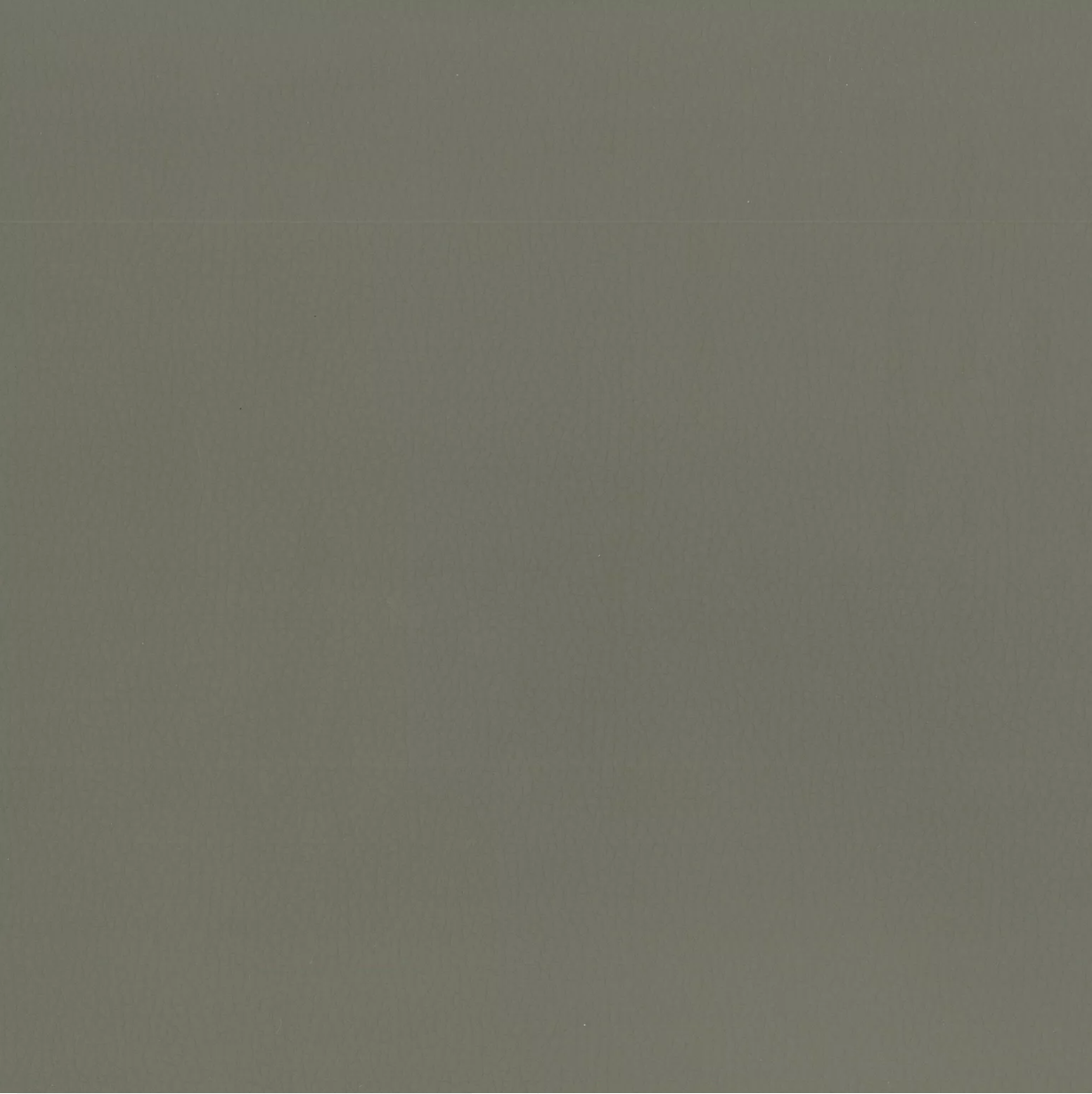 Lustrell Ranger by Warwick Fabrics