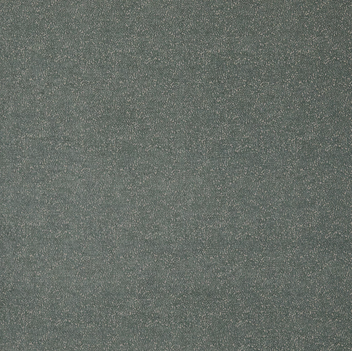 Frasier by Warwick Fabrics