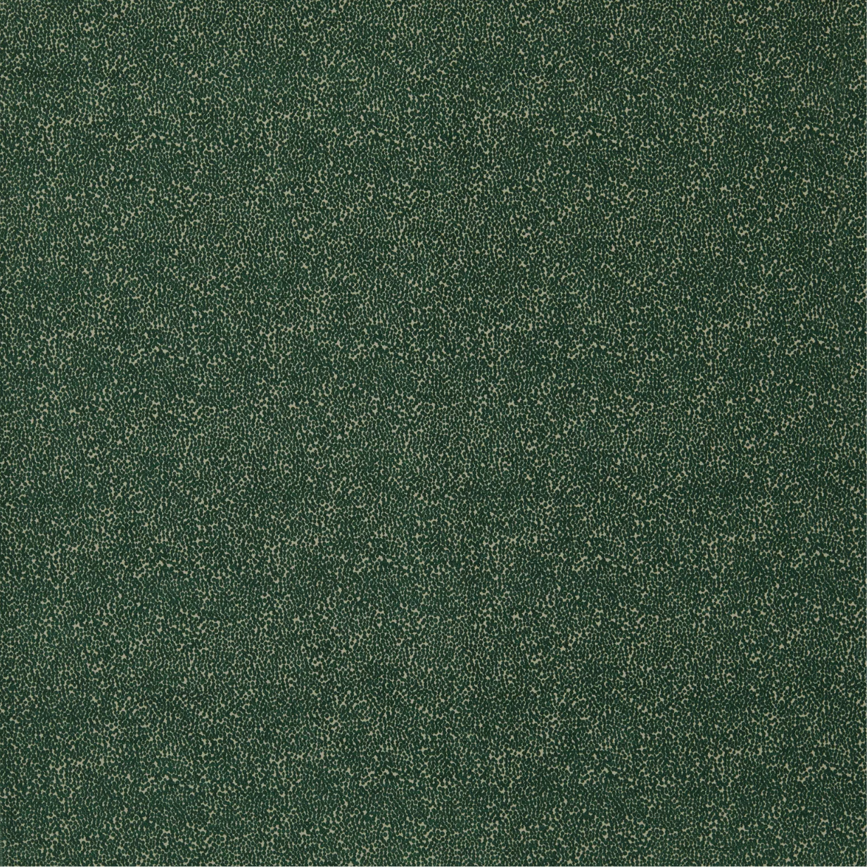 Akasha Tritan by Warwick Fabrics