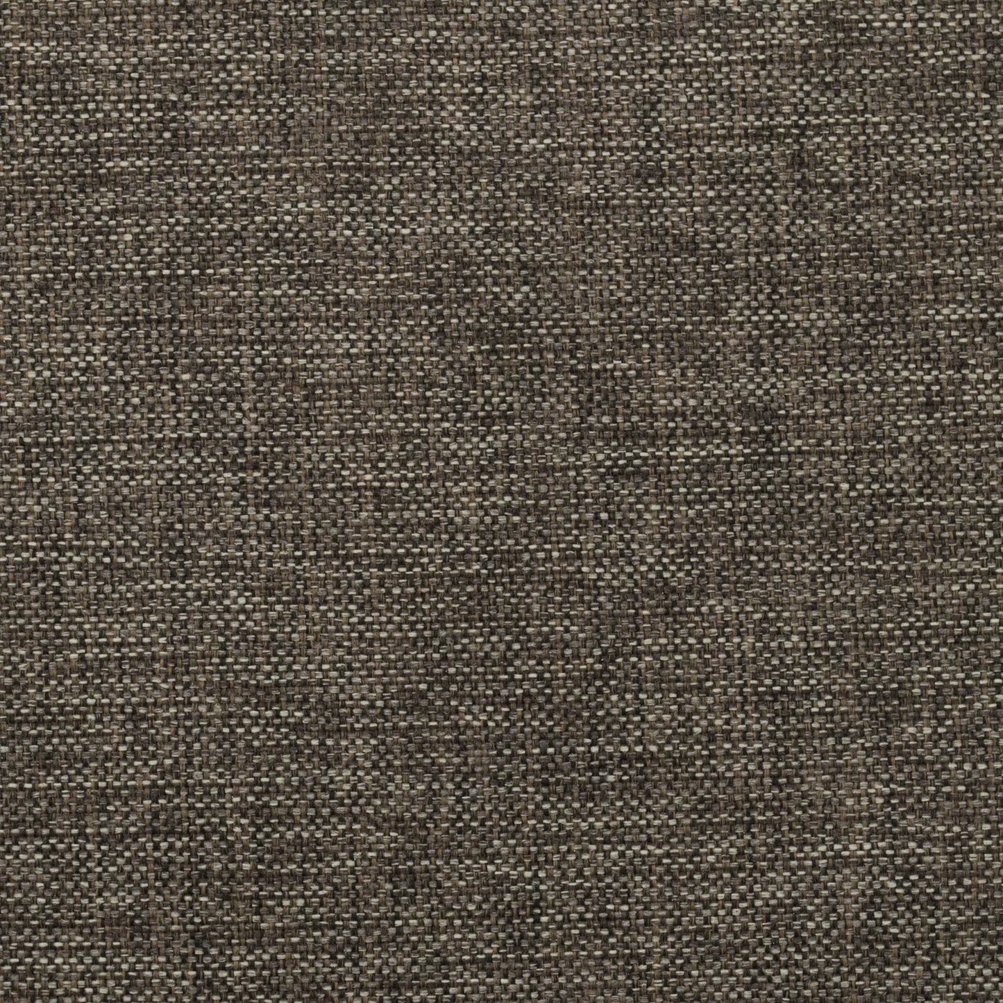 Globe by Warwick Fabrics