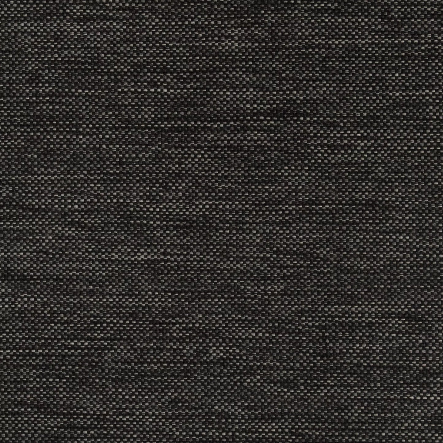 Globe by Warwick Fabrics