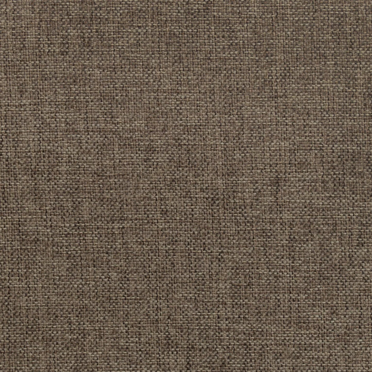 Globe by Warwick Fabrics