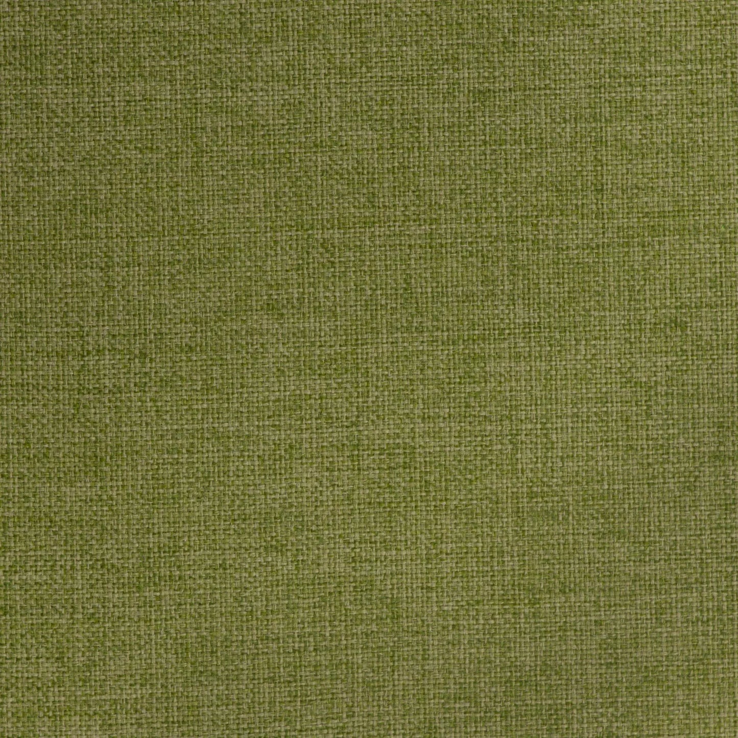 Globe by Warwick Fabrics