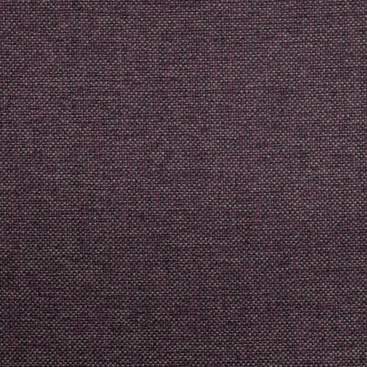 Globe by Warwick Fabrics