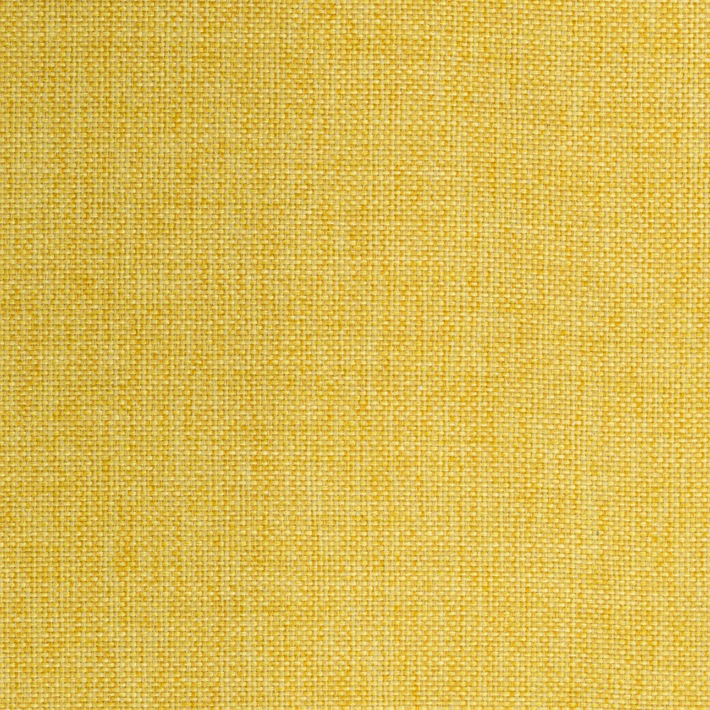 Globe by Warwick Fabrics