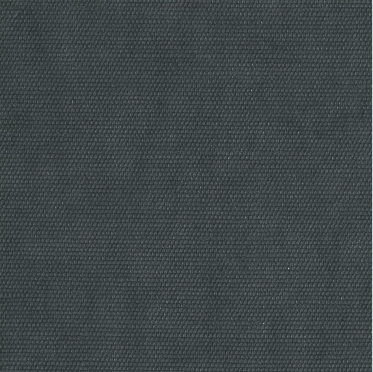 Tesoro by Warwick Fabrics