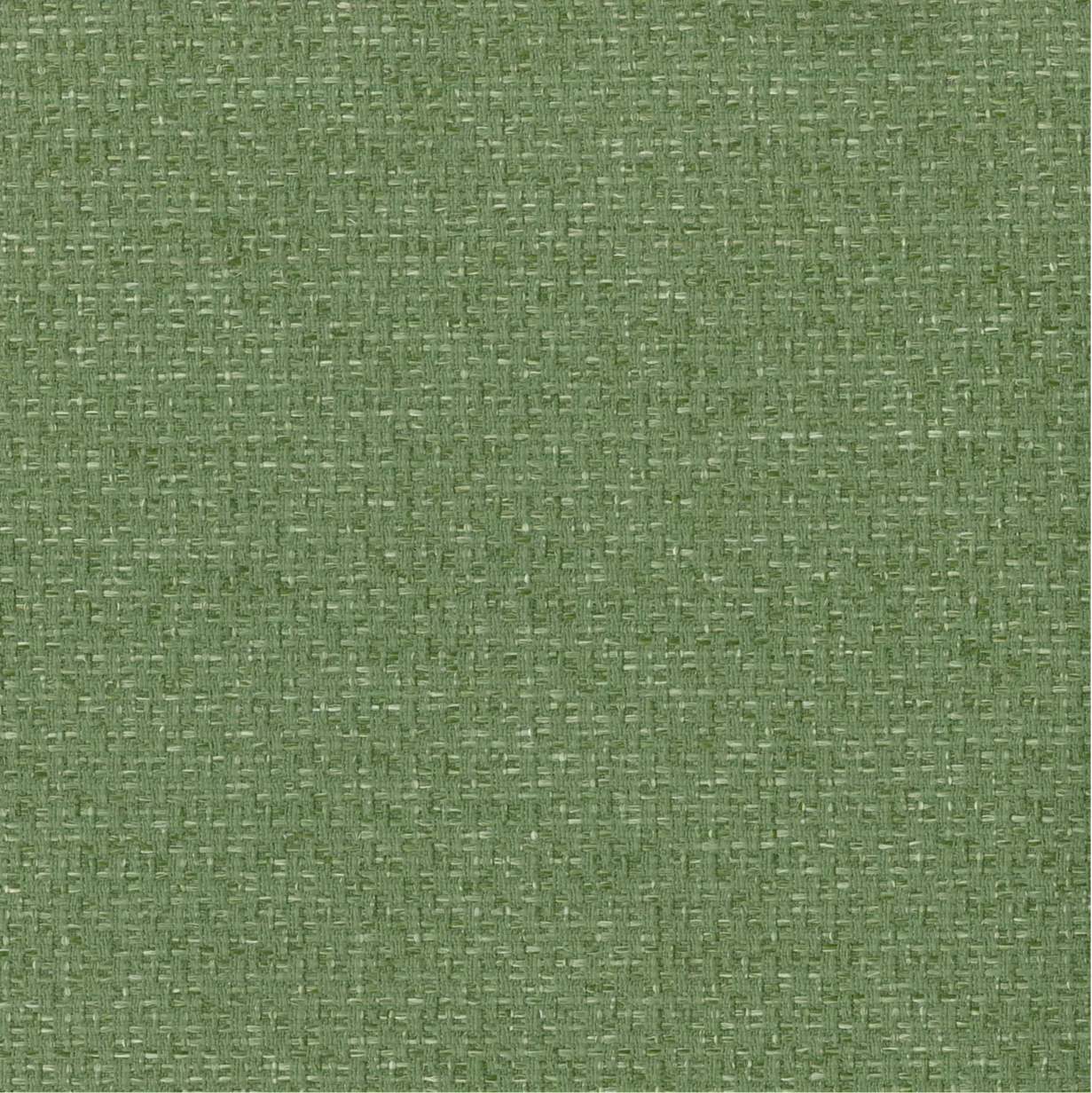 Macedon Fawn by Warwick Fabrics