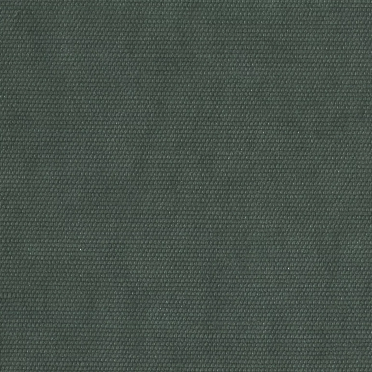 Tesoro by Warwick Fabrics