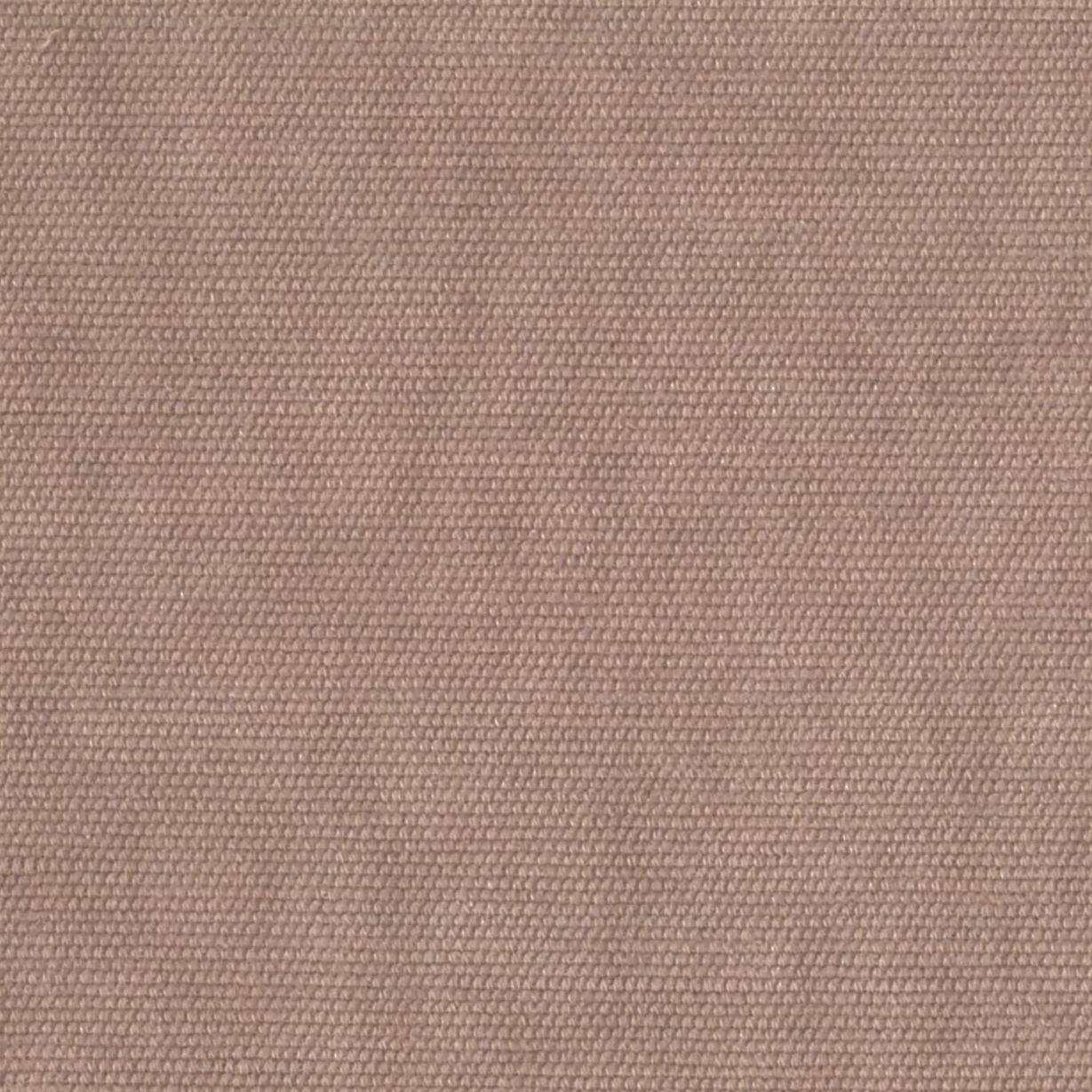 Tesoro by Warwick Fabrics