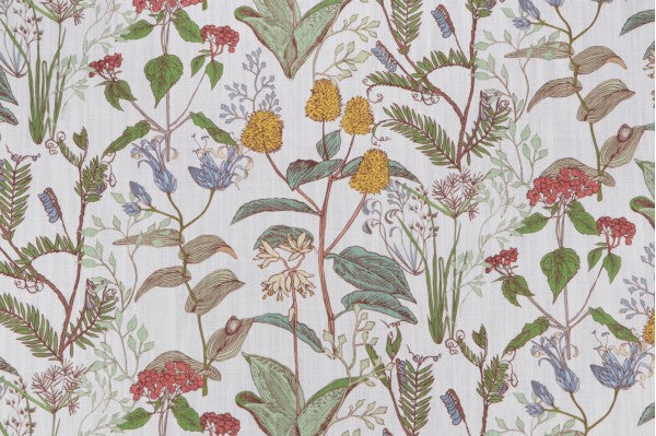 Lacefield Botanical Sketch Small Scale Fabric in Multi