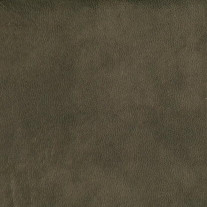 Eastwood by Warwick Fabrics